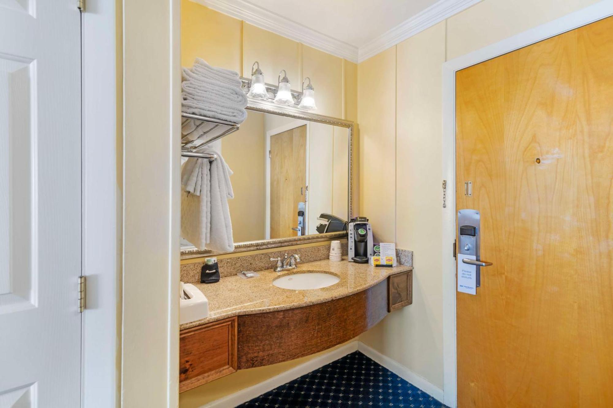 King Room Pet Friendly or Non-Smoking