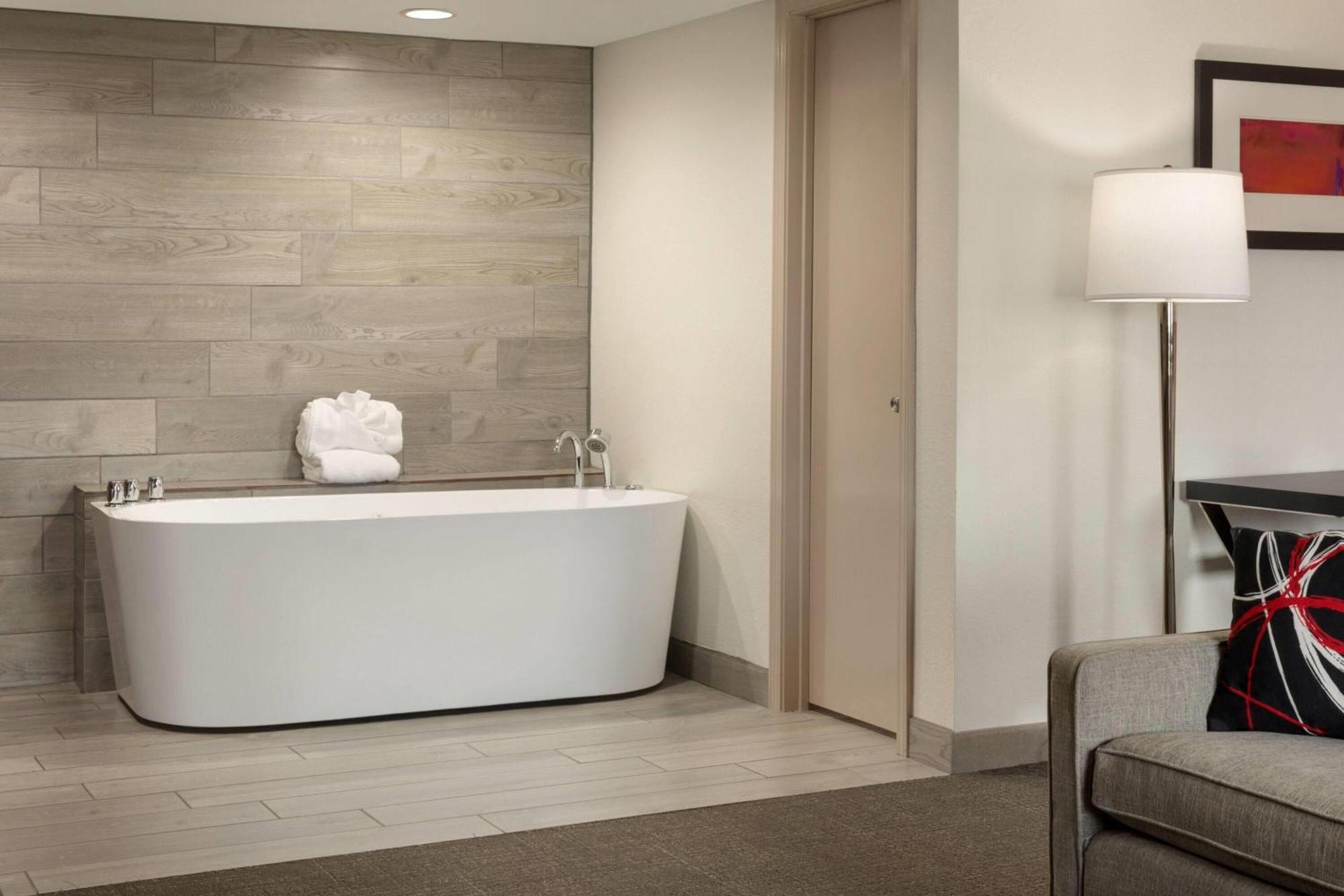 Deluxe One-Bedroom King Suite Non-Smoking