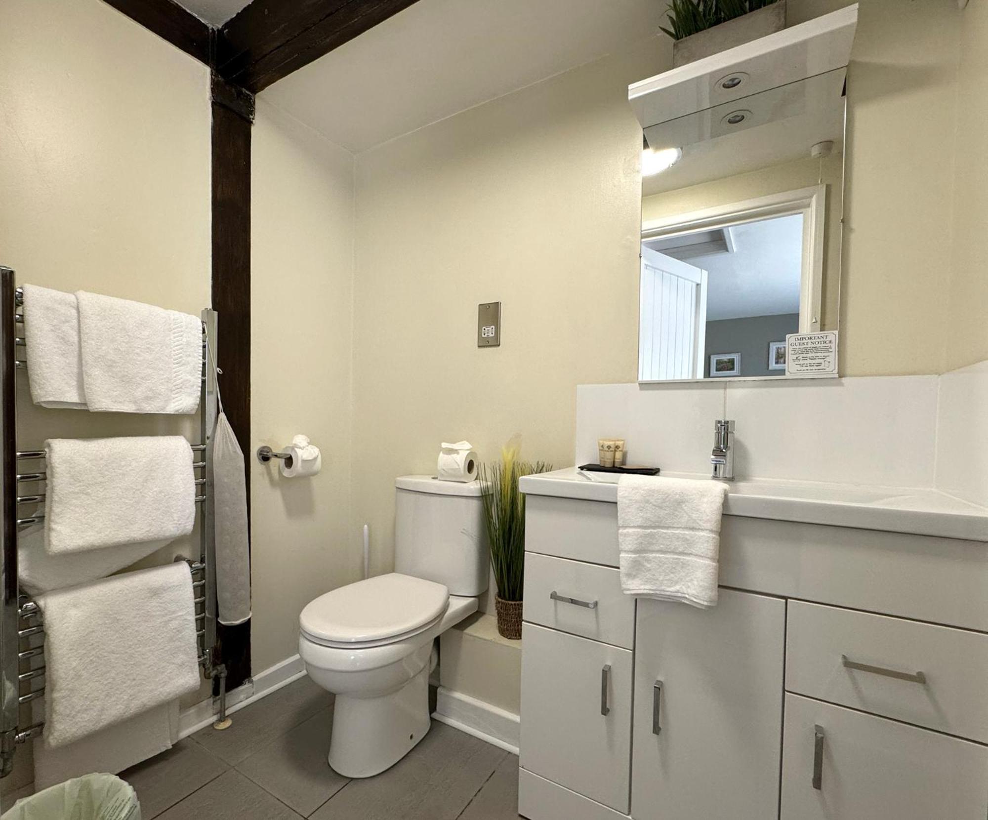 Contemporary Double Room