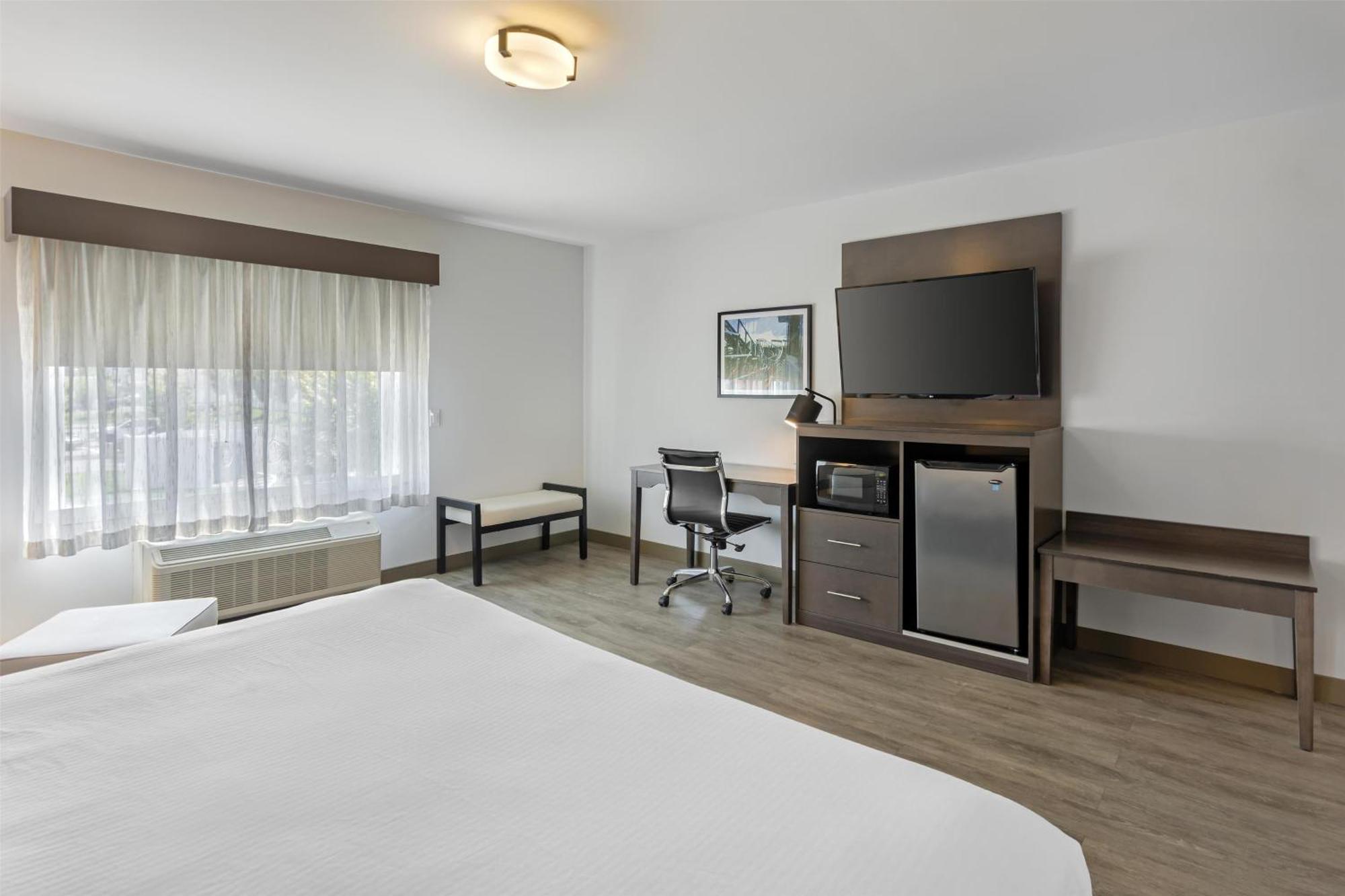 King Room Mobility Accessible Roll Shower