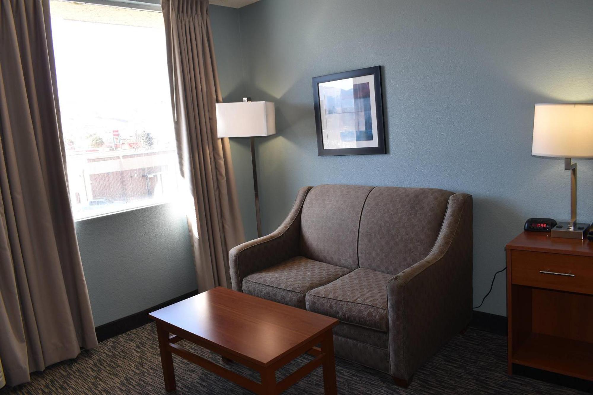 King Room Accessible or Non-Smoking or No Pets