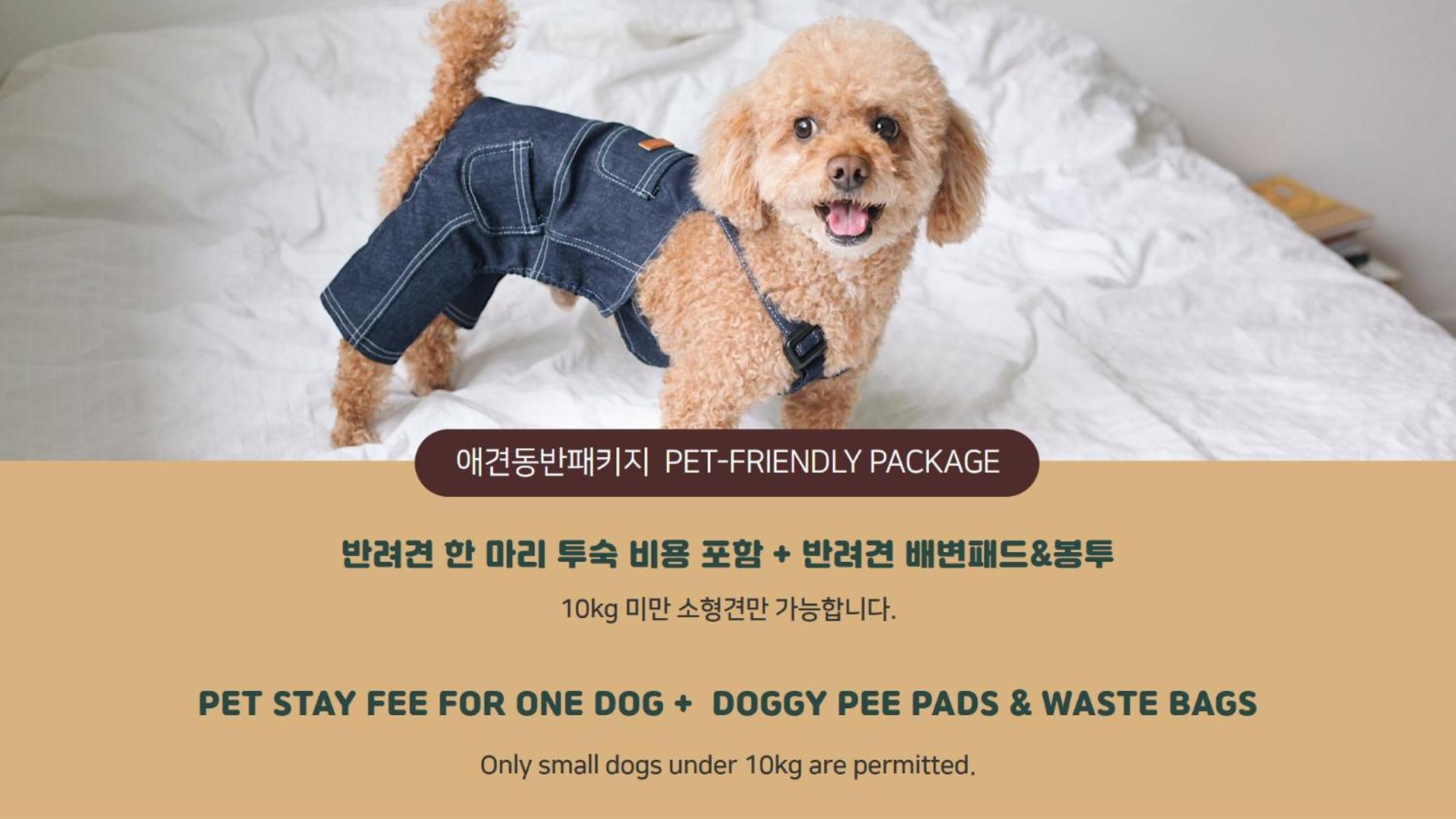 Premier Twin Room – Includes One Small Dog Under 10kg,1694599576:JPEG
