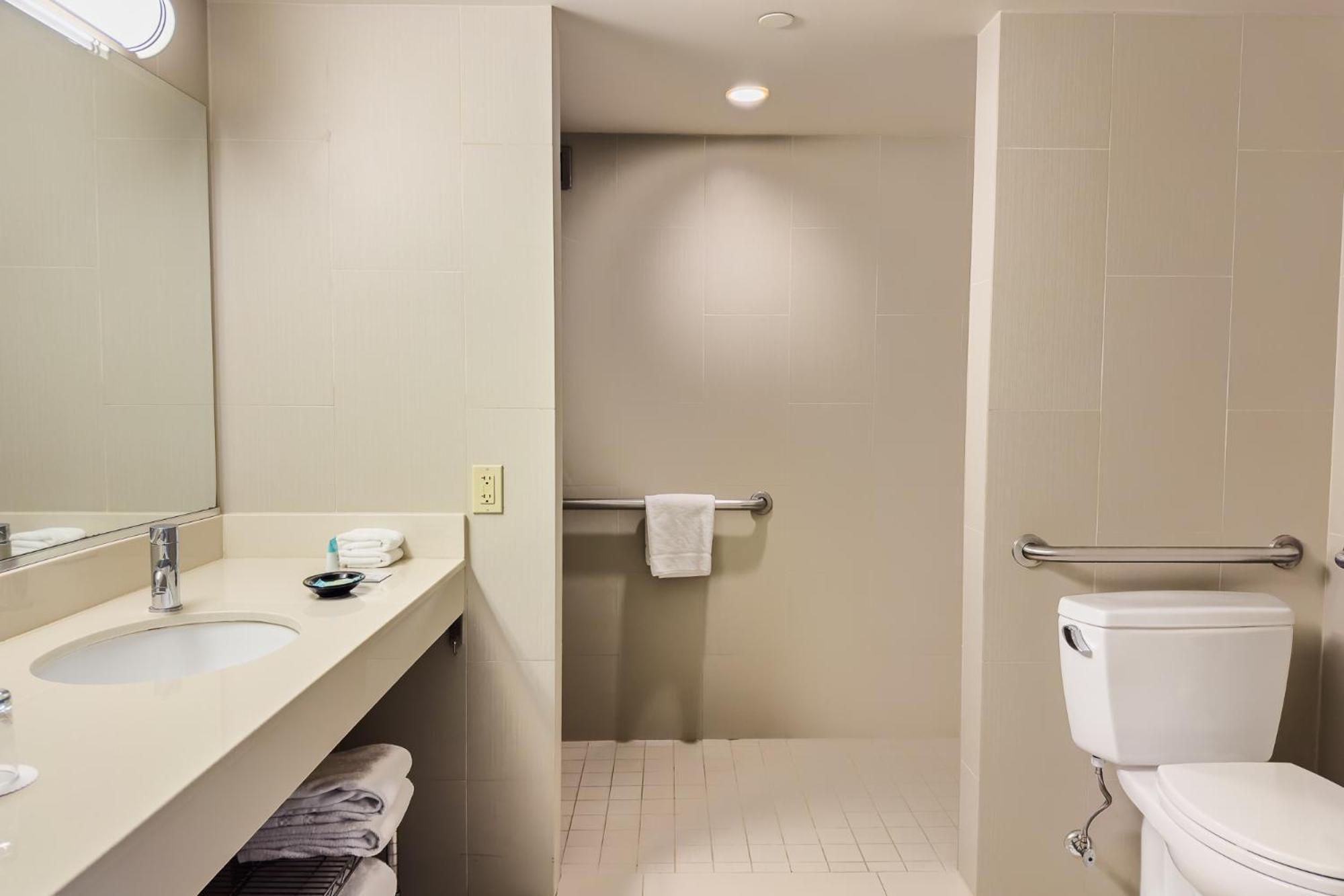 King Room Roll Shower Disability Access