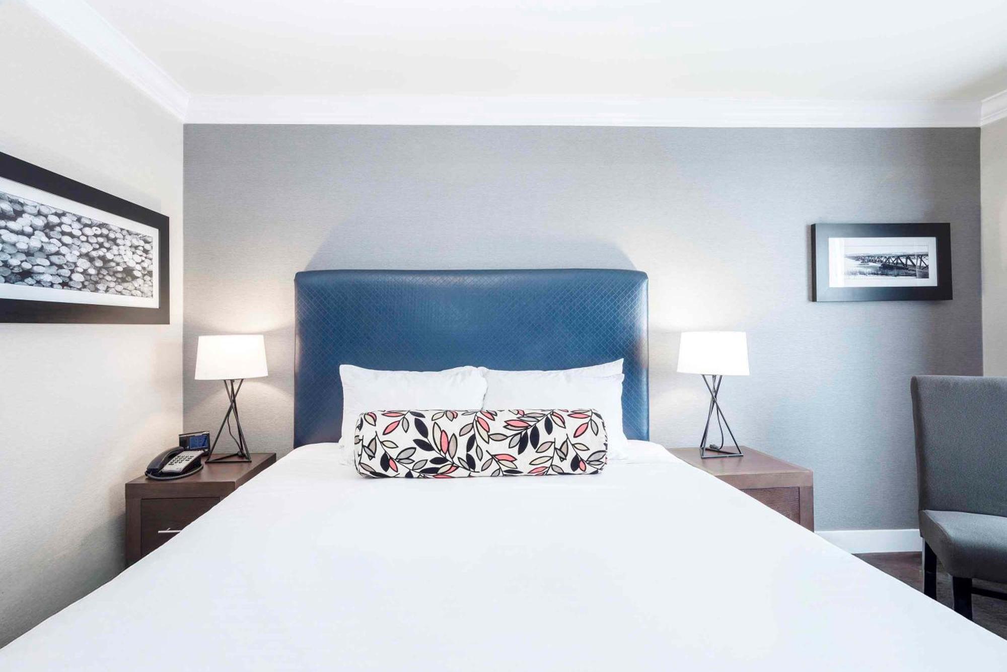 Standard Room 1 King Bed