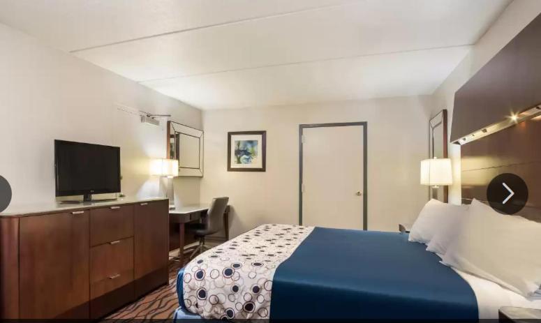 Efficiency King Room - Accessible/Smoking