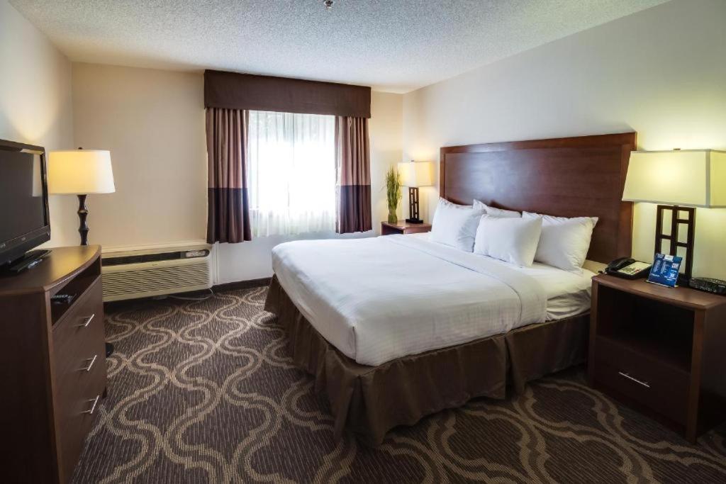 Queen Room