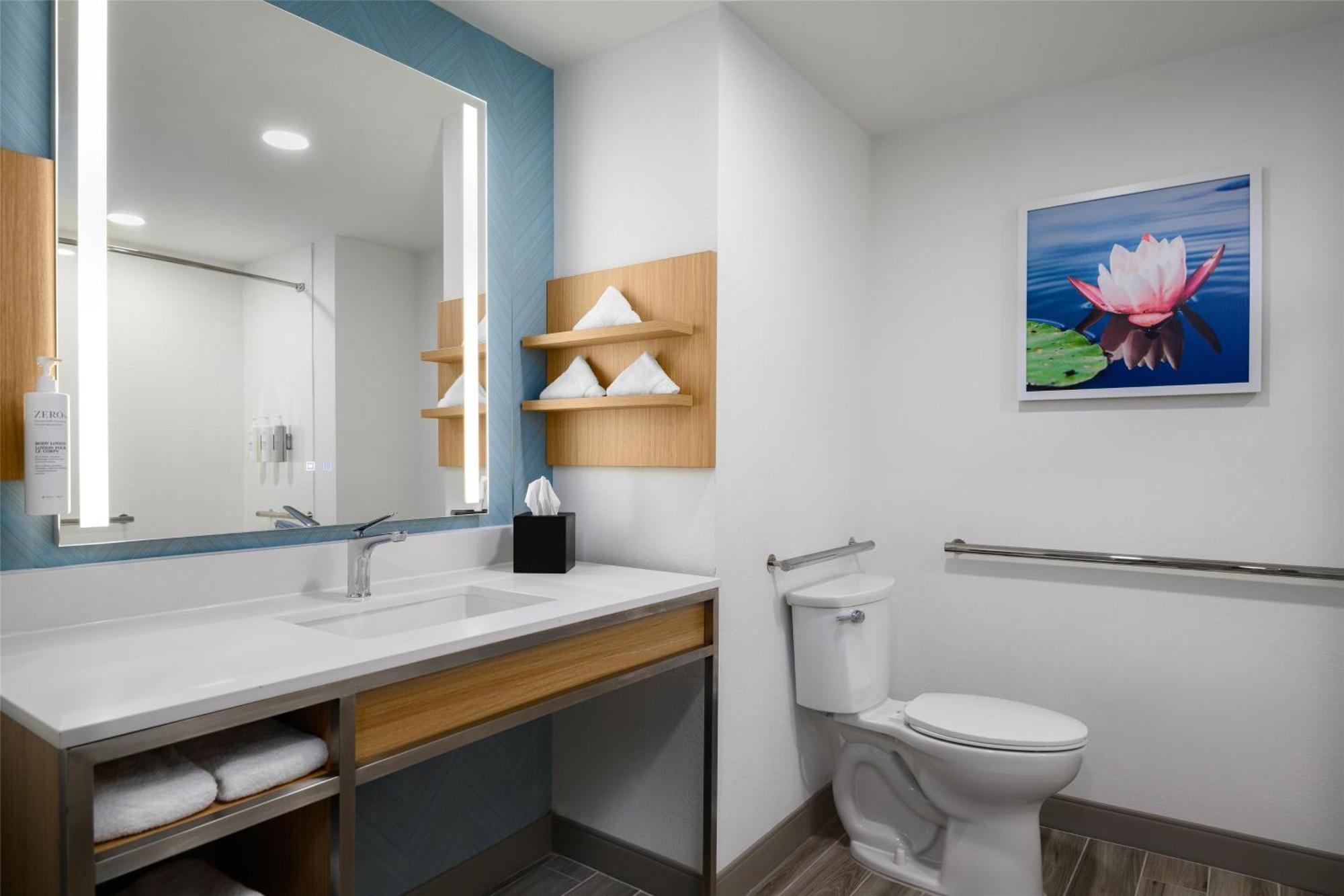 King Room Accessible Tub Mobility Access