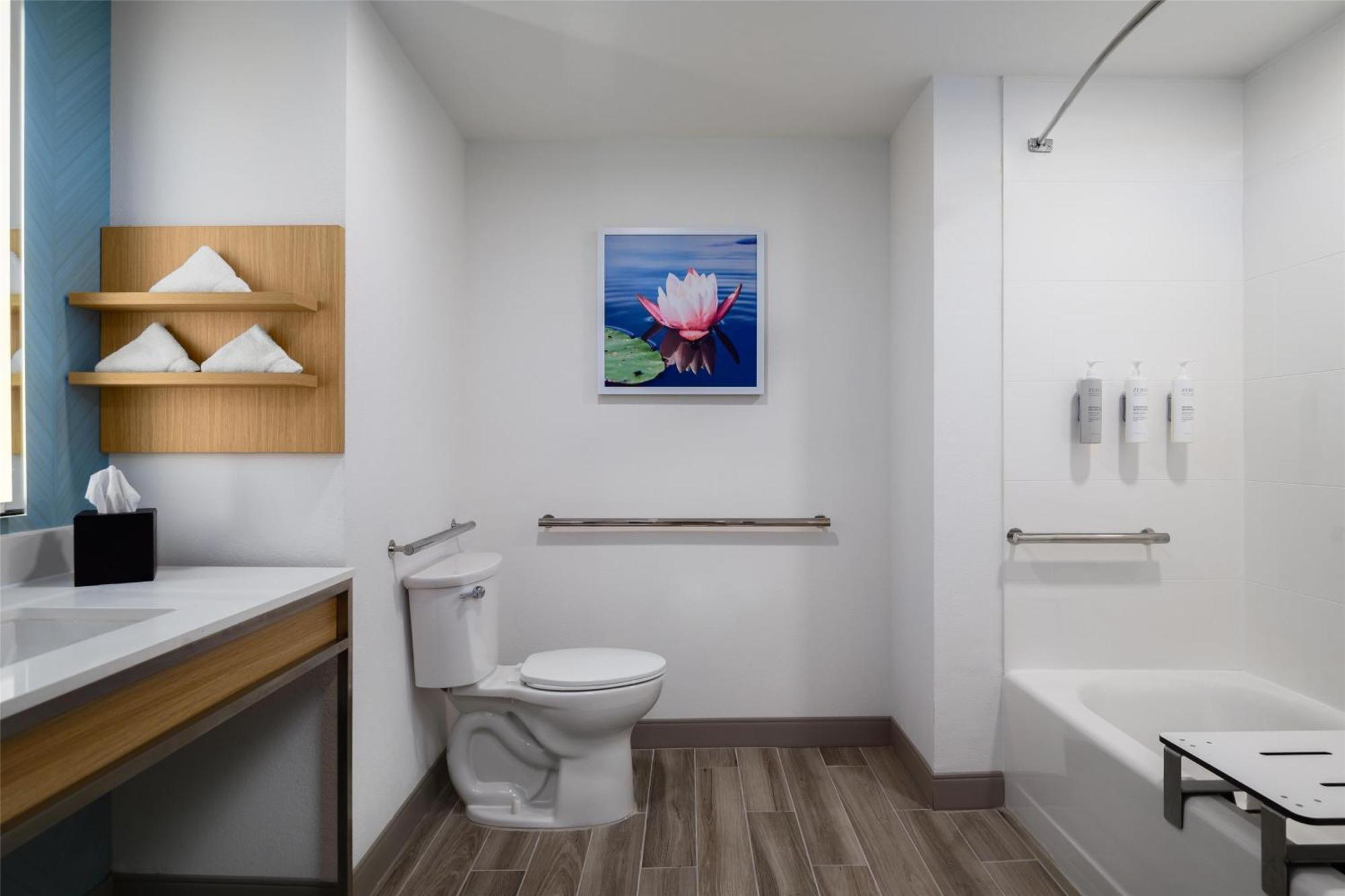 King Room Accessible Tub Mobility Access