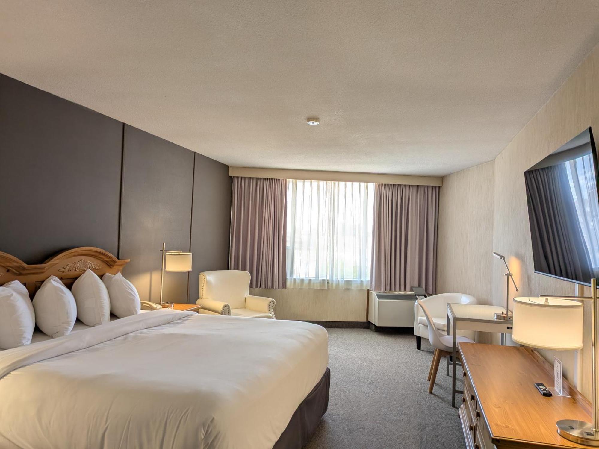 Standard King Room City View
