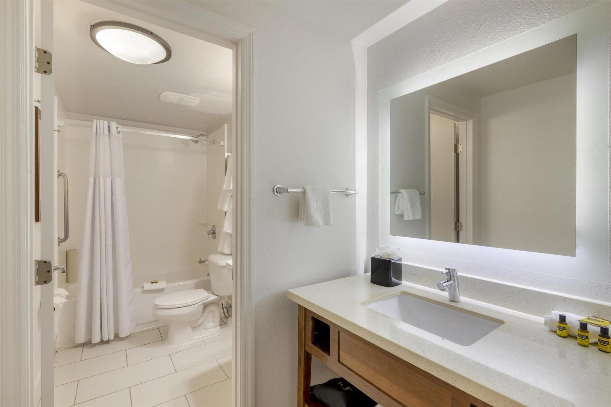 One-Bedroom King Suite with Sofa Bed and Full Kitchen - Non-Smoking