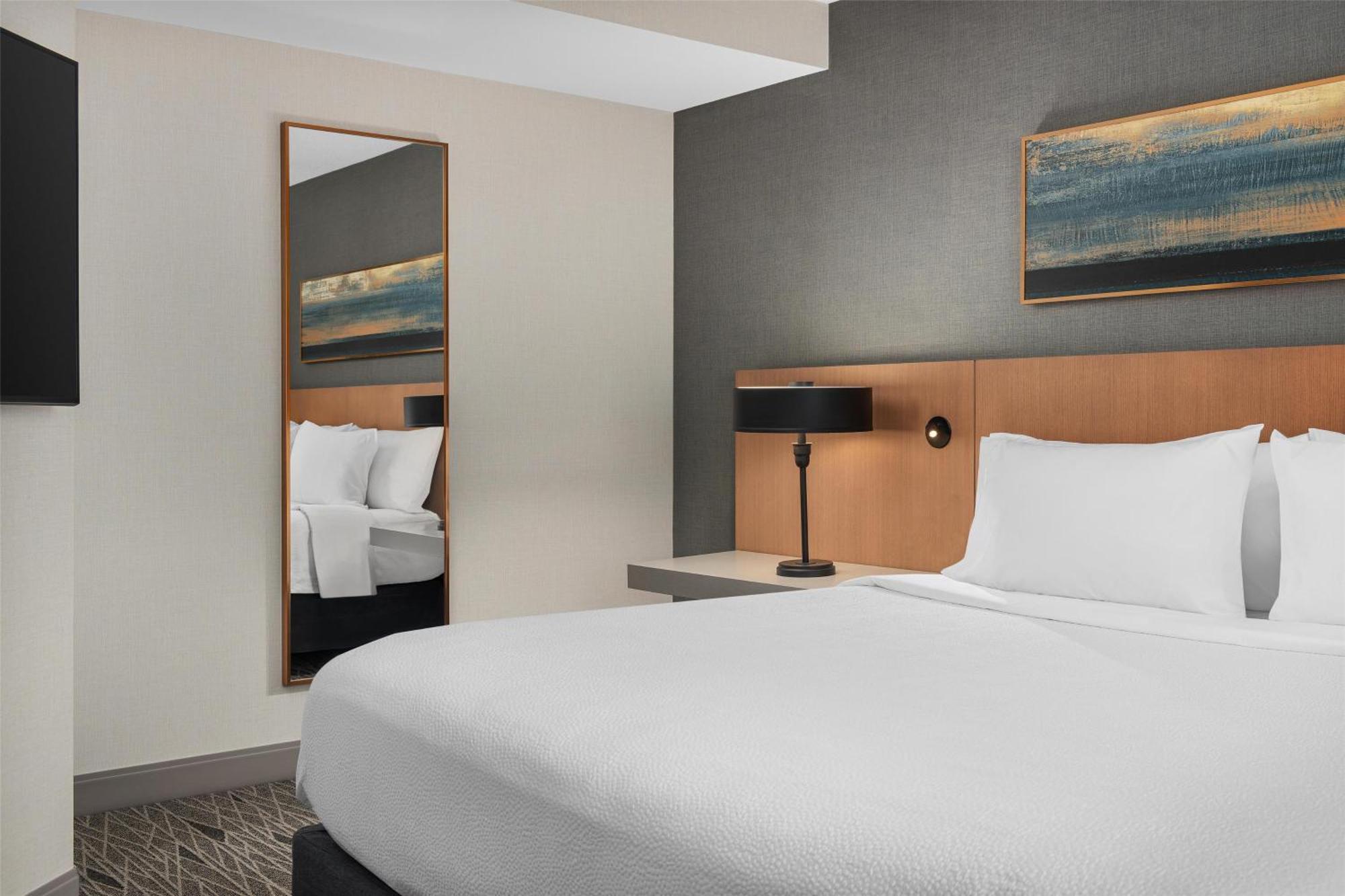 One-Bedroom King Suite