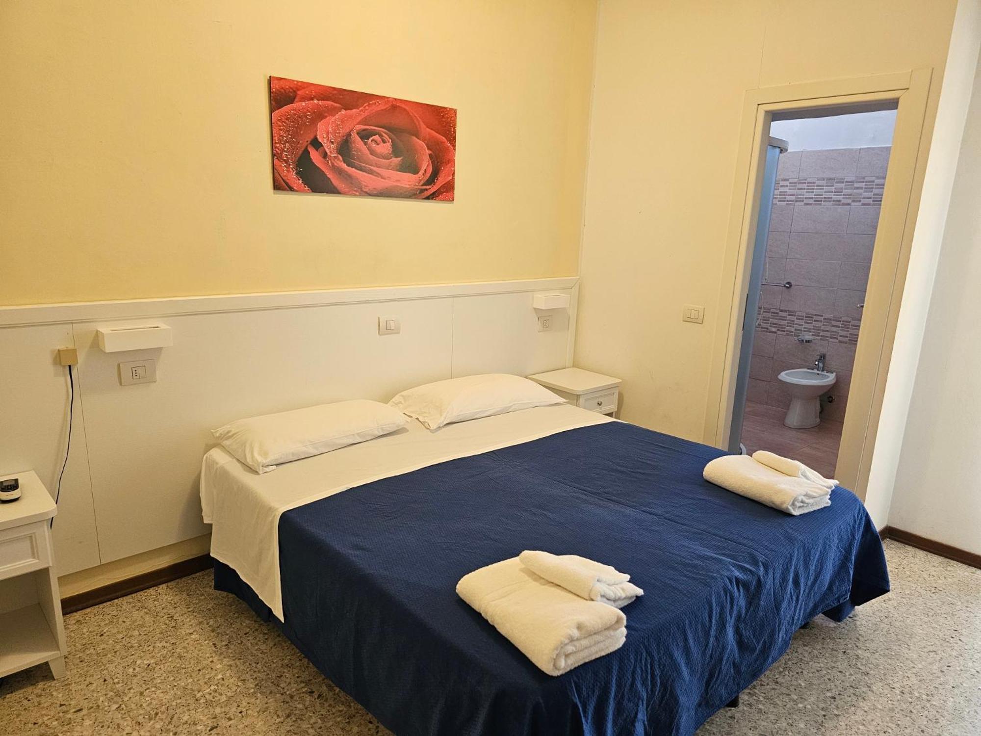 Large Double or Twin Room
