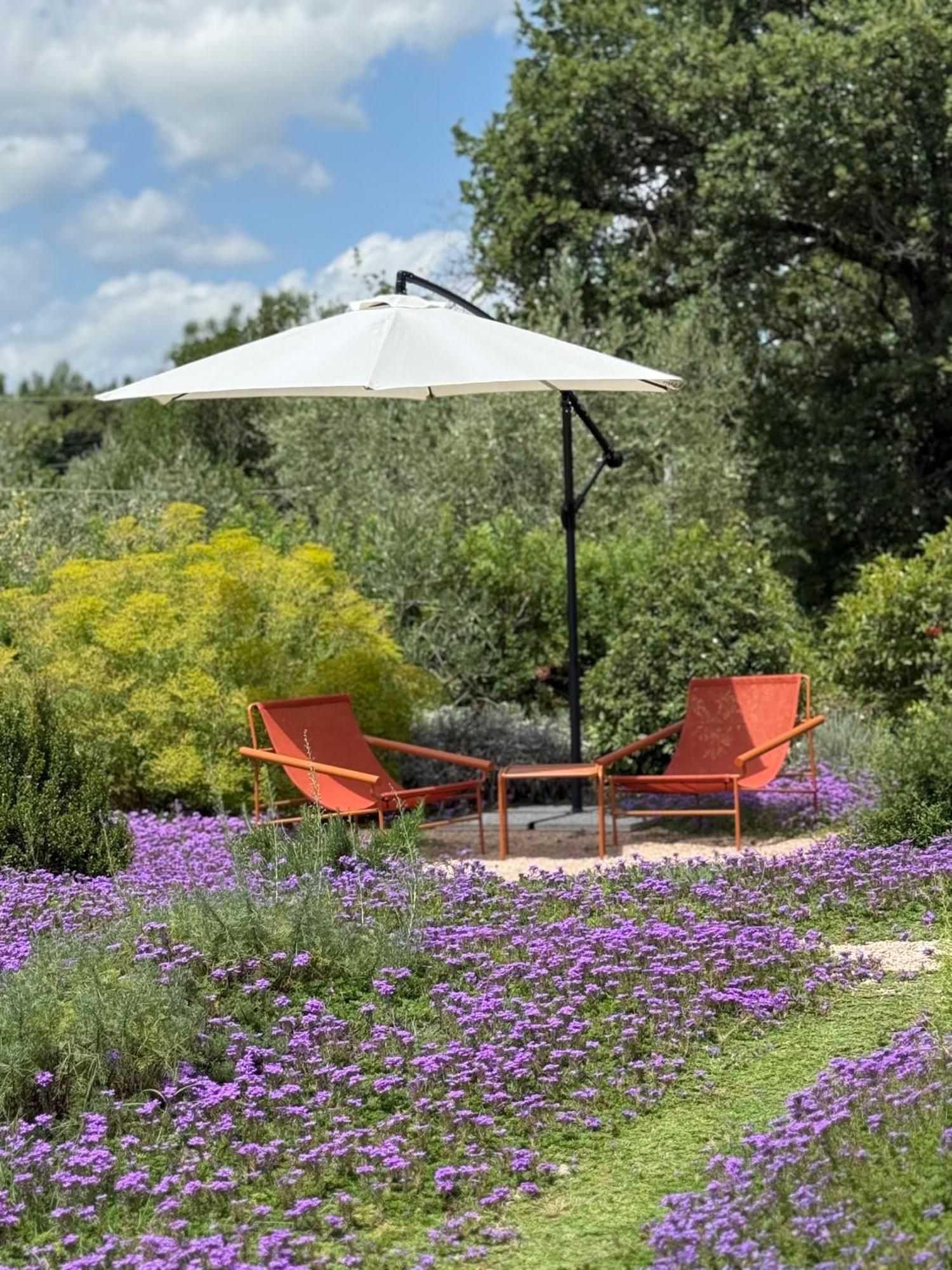 Double Room Garden View