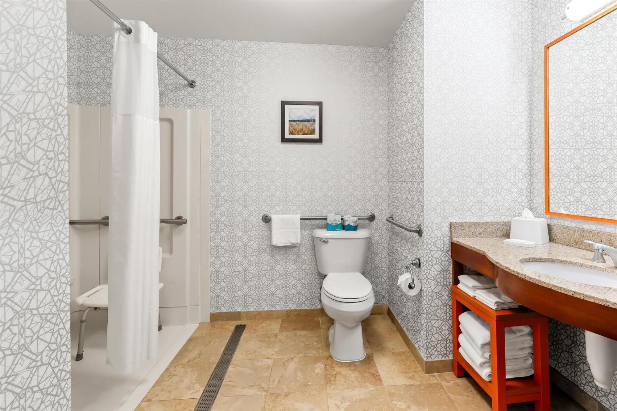 King Room Roll Shower Mobility Access or Non-Smoking