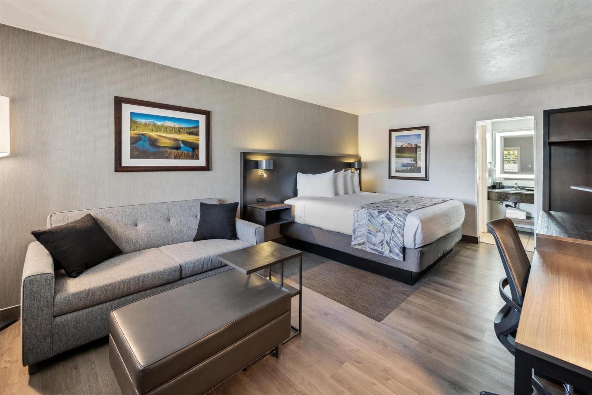 King Room Sofa Bed Pet Friendly or Non-Smoking