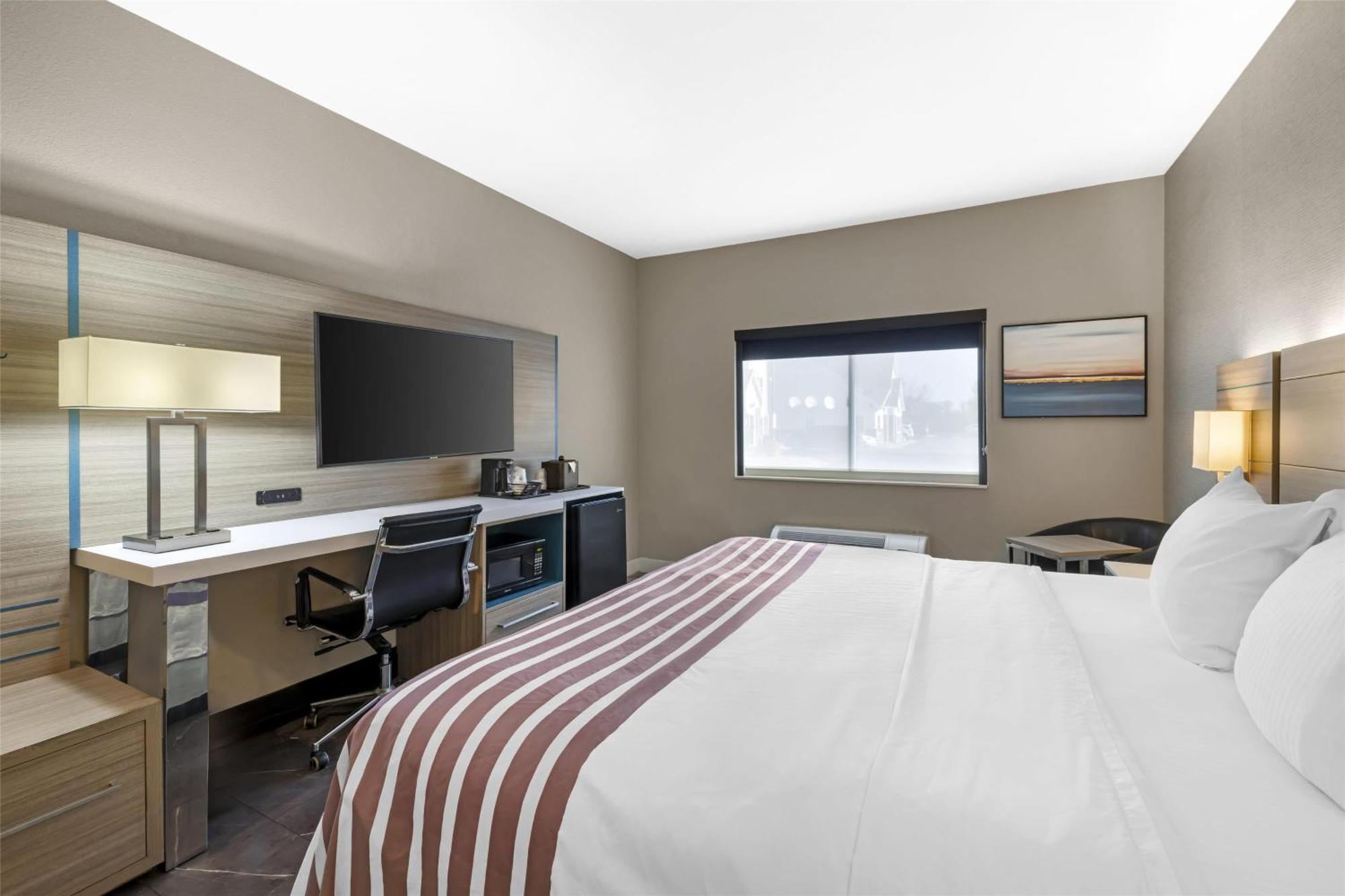 King Room Roll Shower Mobility Accessible or Pet Friendly