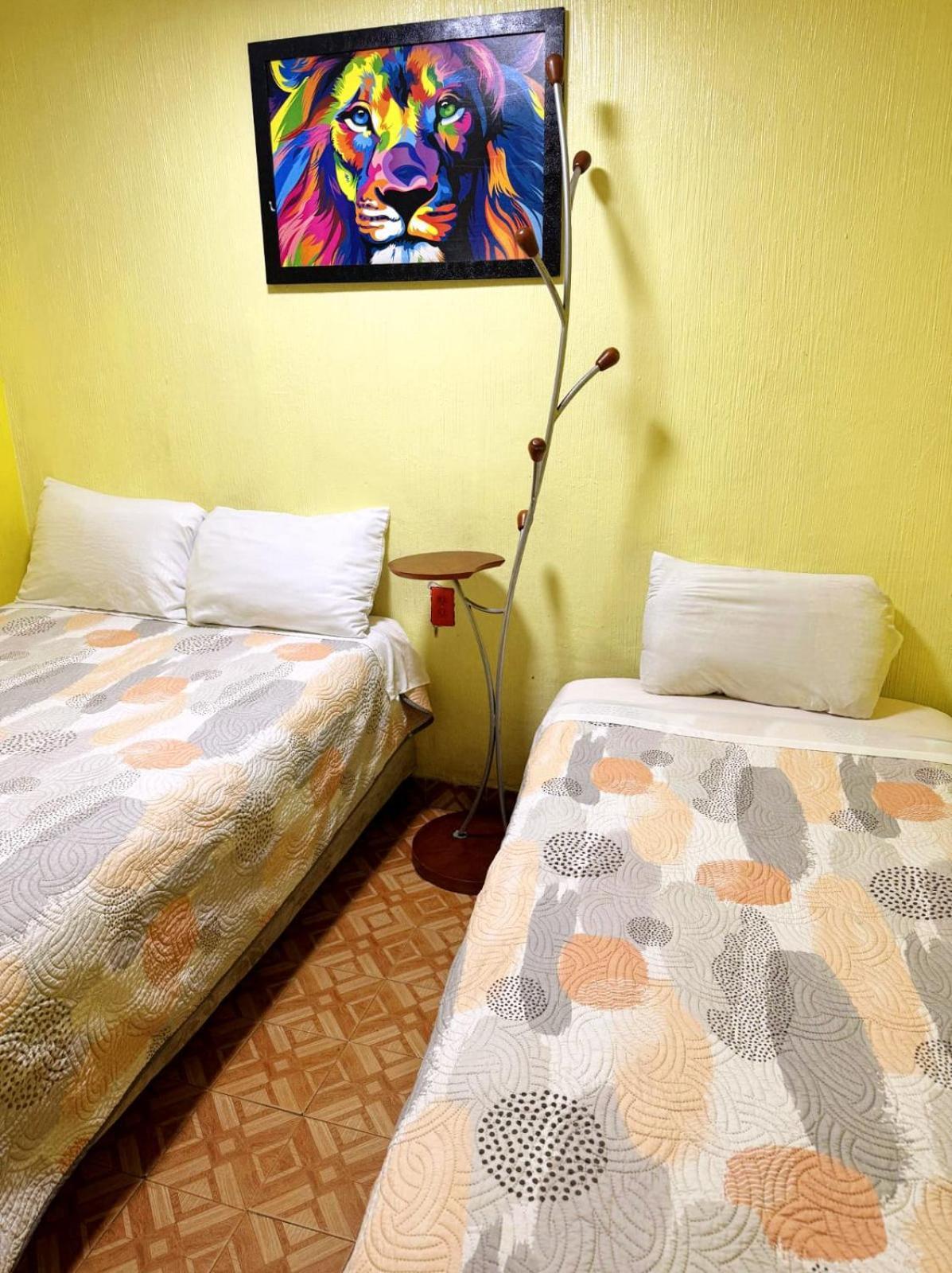 Budget Double Room