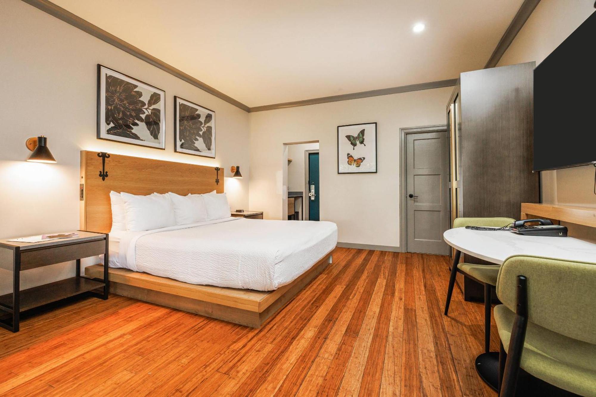 King Room with Roll-In Shower - Accessible/Non-Smoking