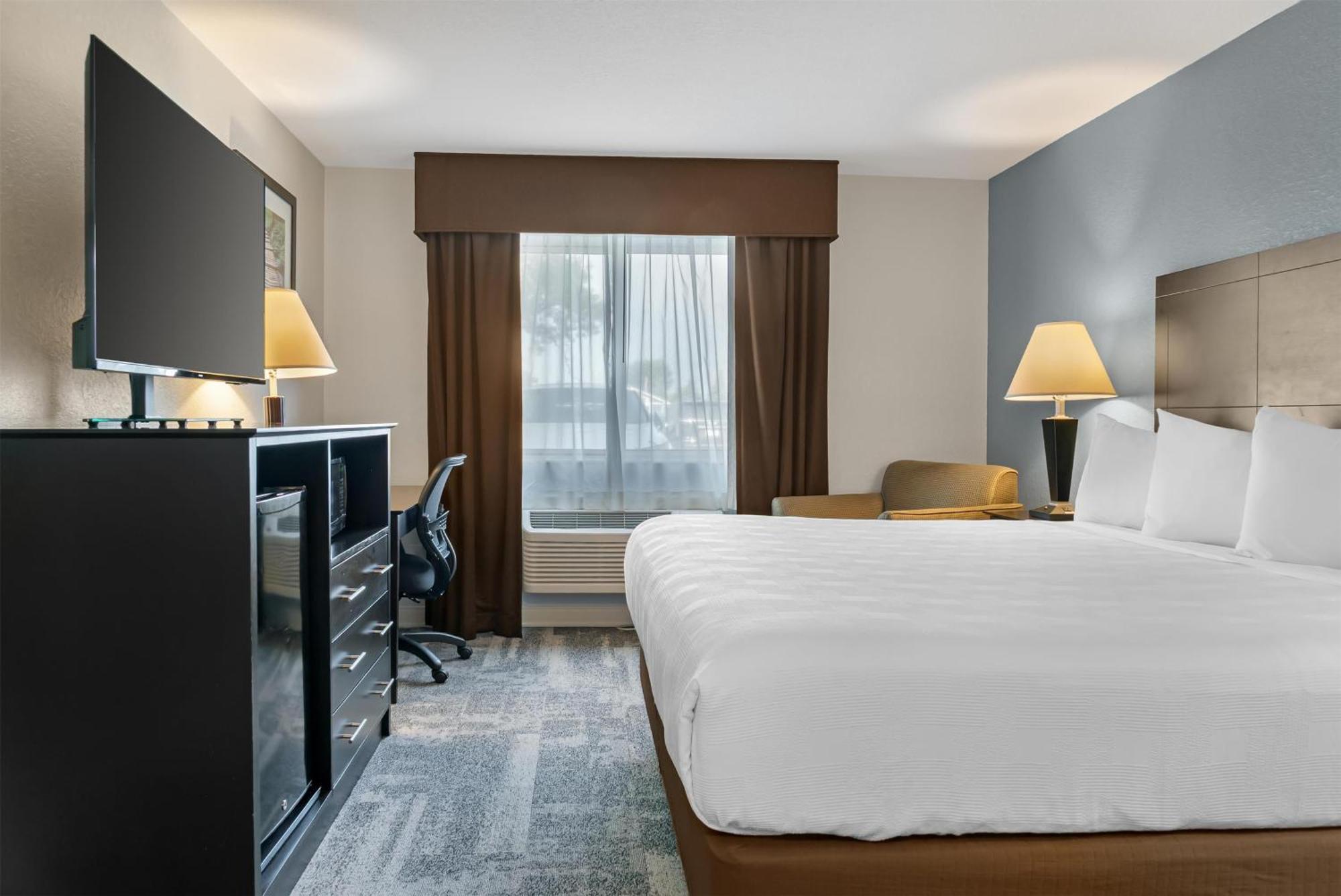King Room