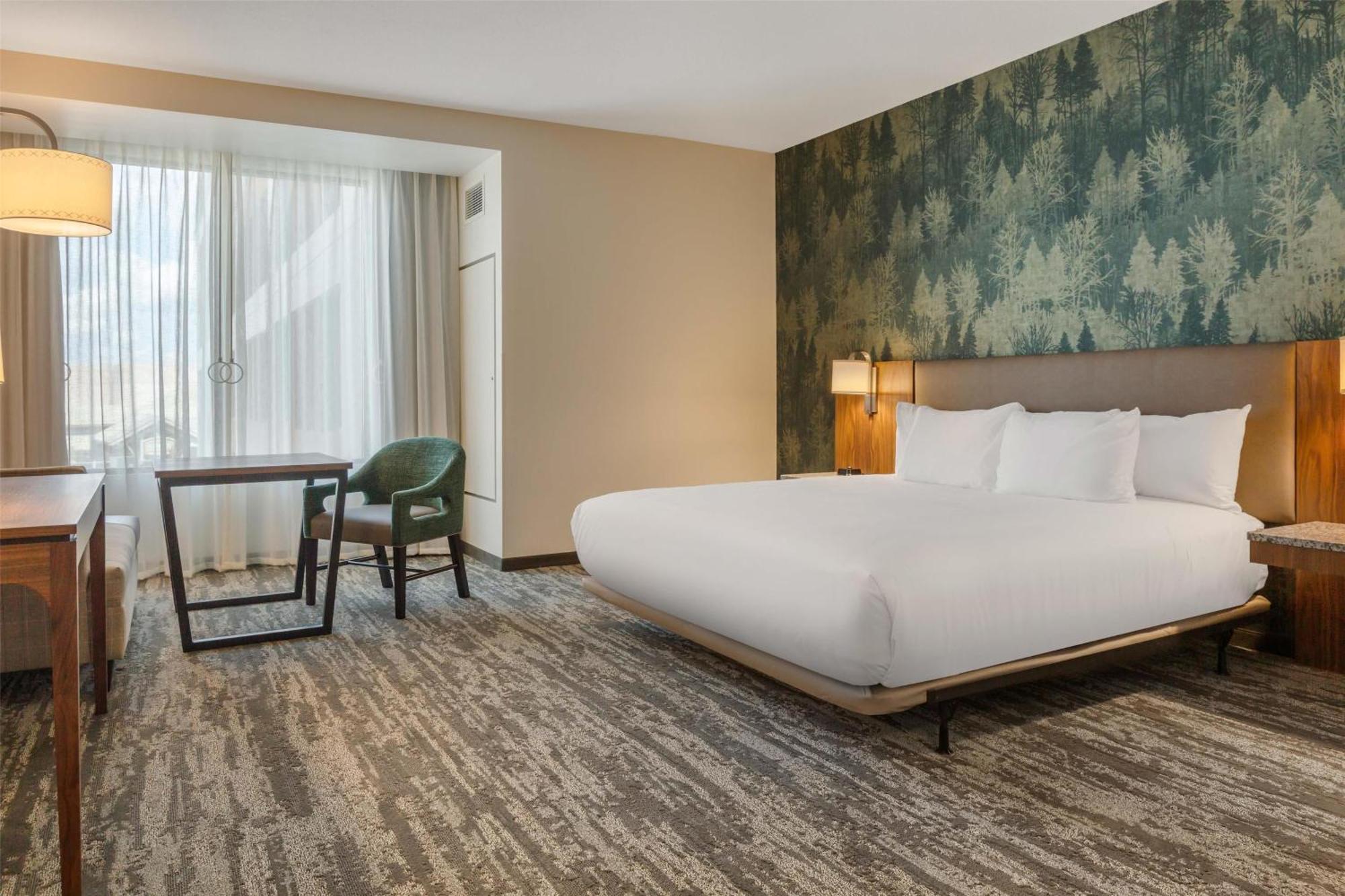 Deluxe King Room AccessibleTub