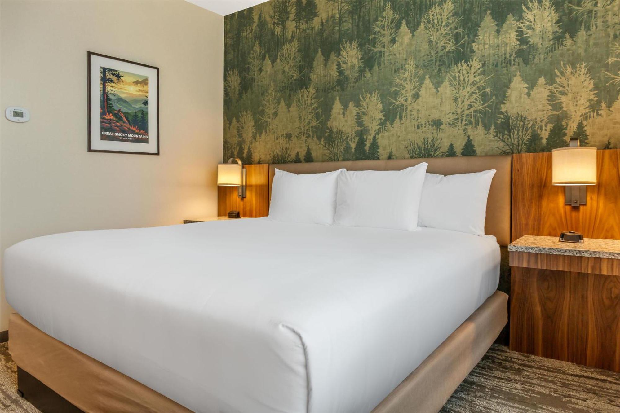 Deluxe King Room