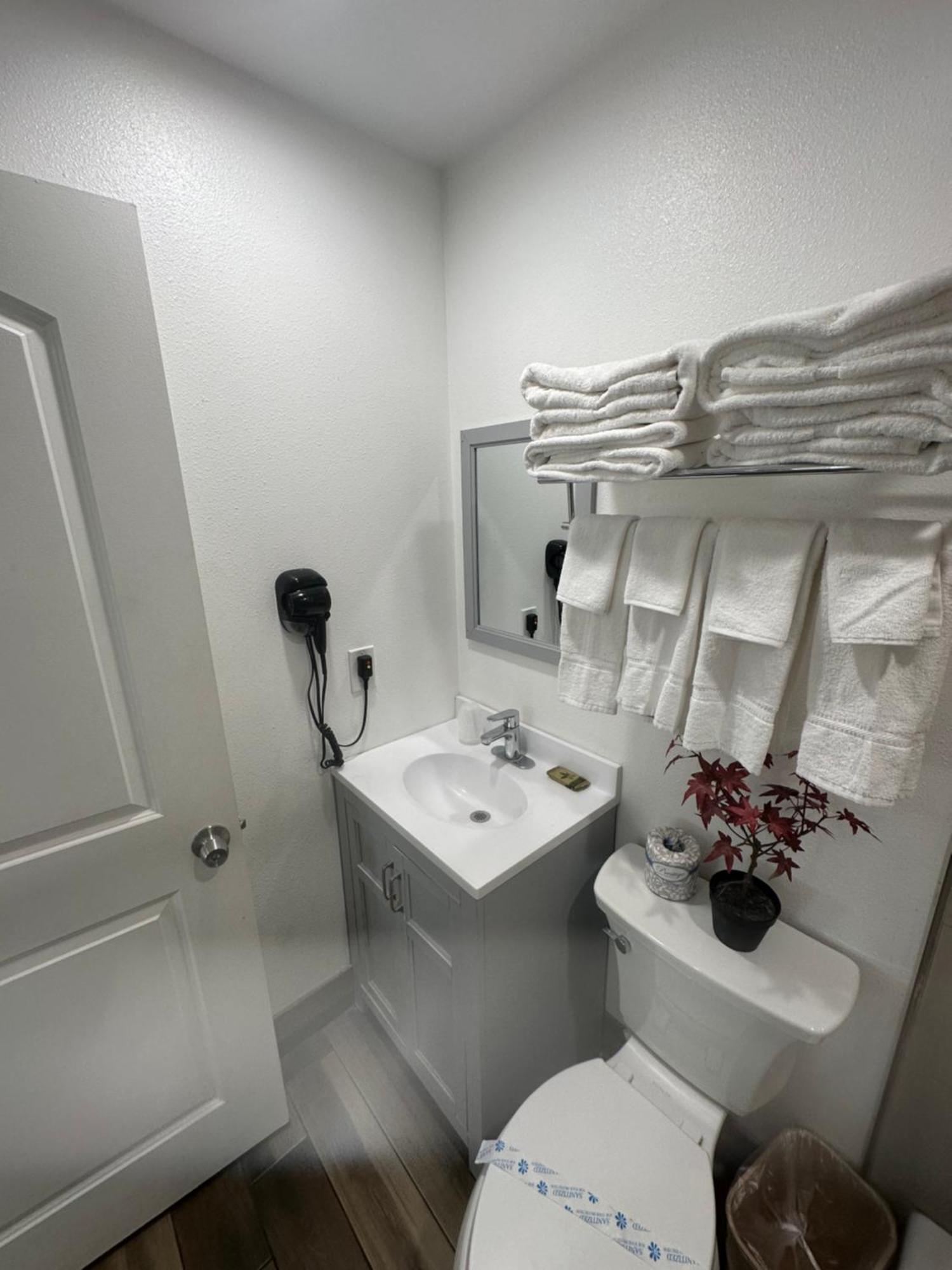 Deluxe Family Suite