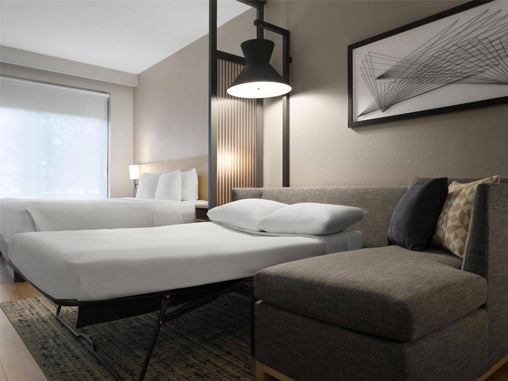 Specialty King Room Sofa Bed