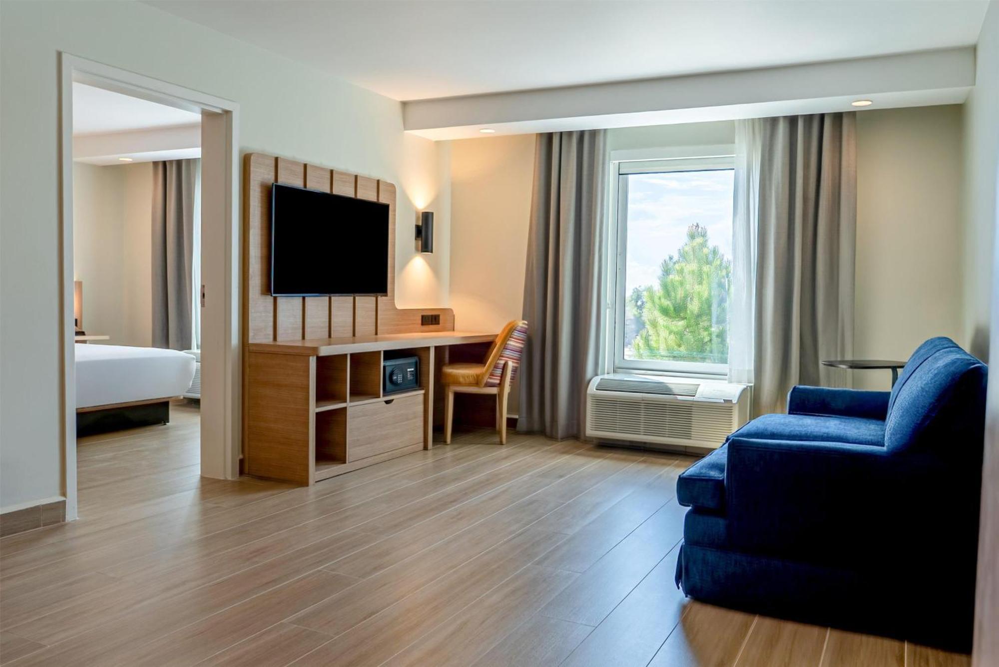 One-Bedroom King Suite Non-Smoking