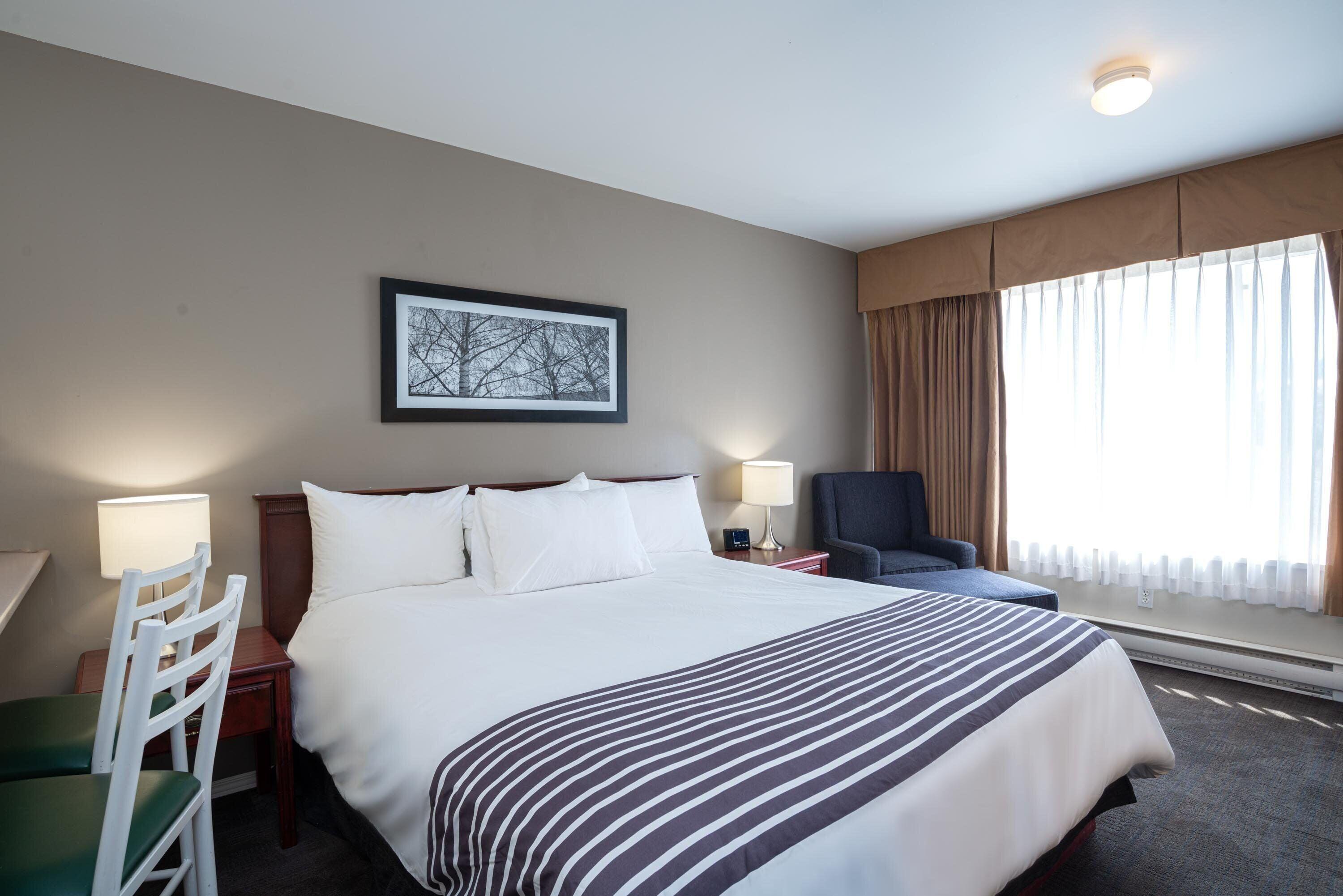 Studio Suite 1 Queen Bed Kitchen