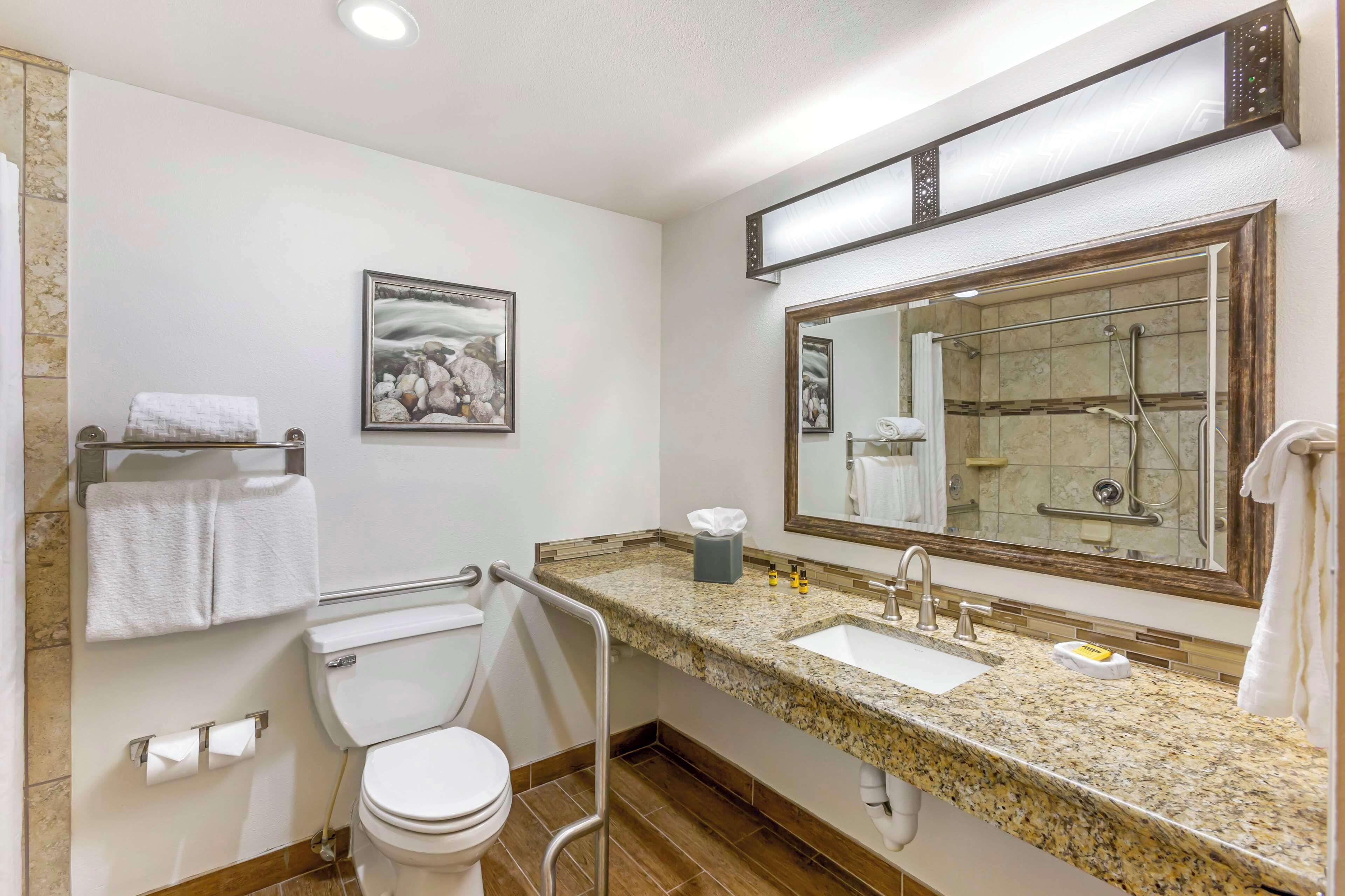 King Room Roll Shower Disability Access or Non-Smoking