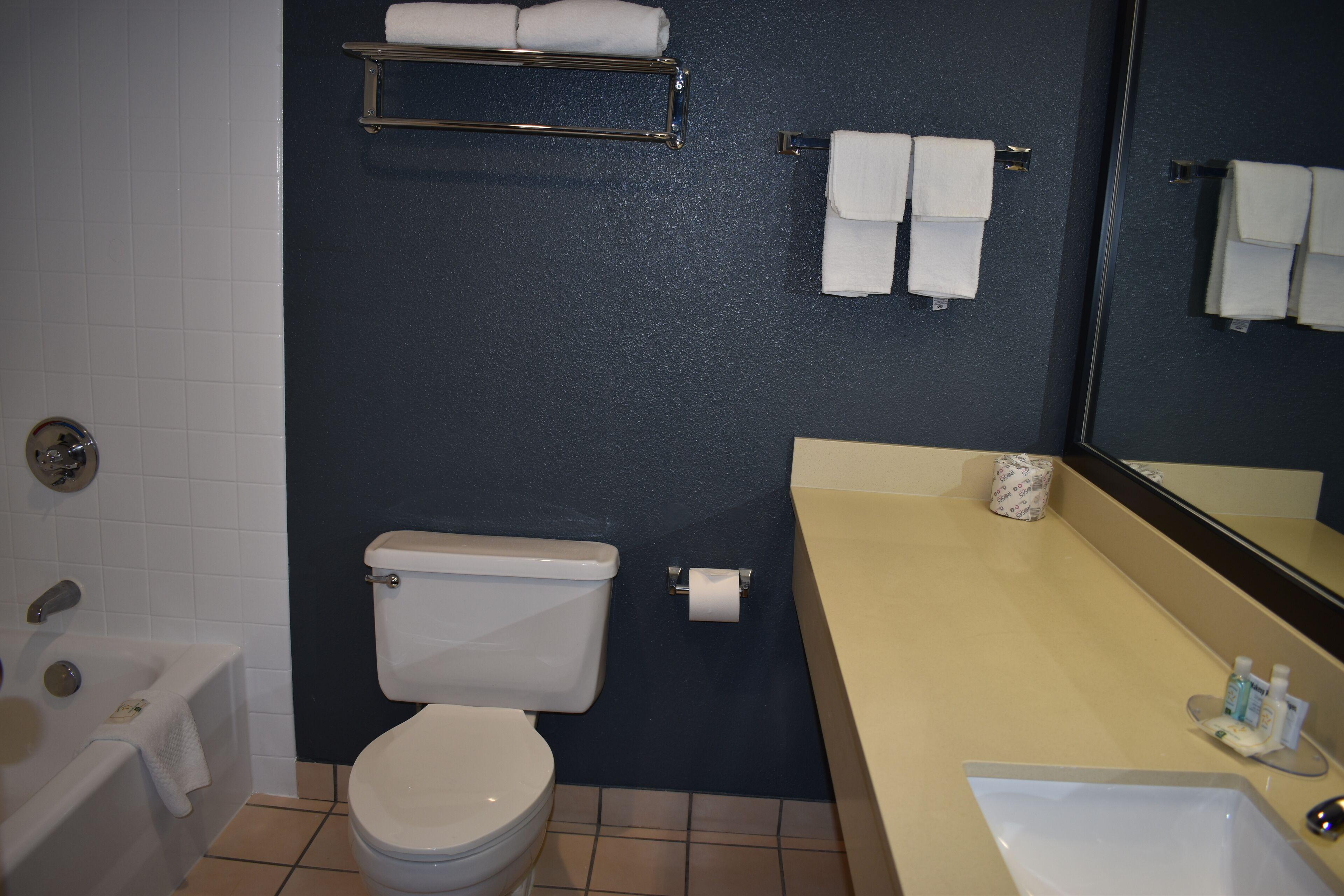 King Room Non-Smoking or Pet Friendly
