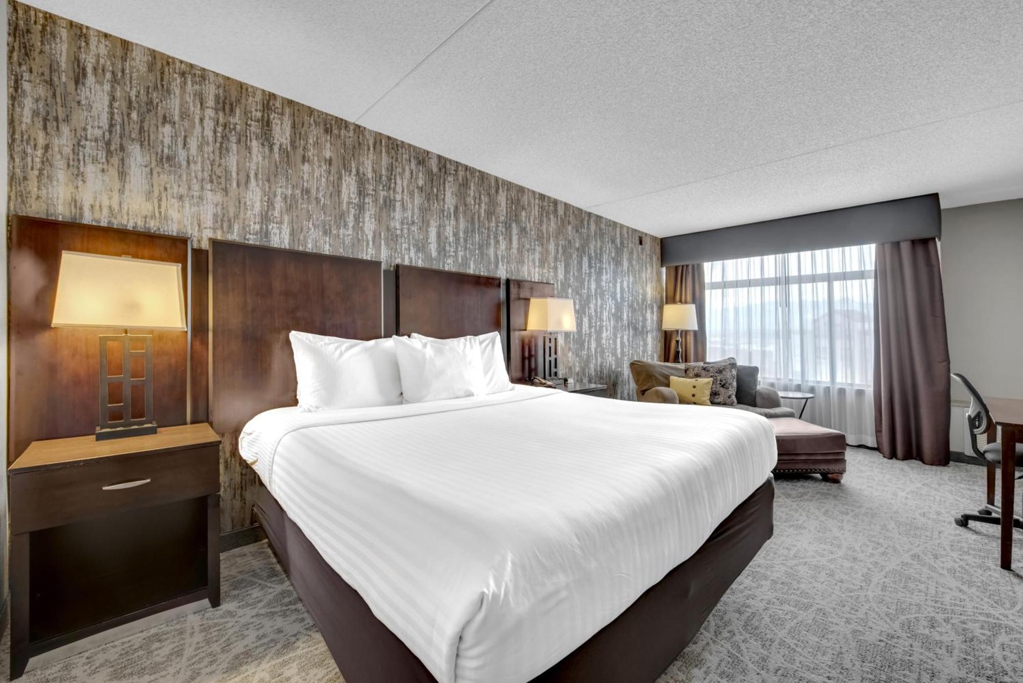 Deluxe King Room No pets