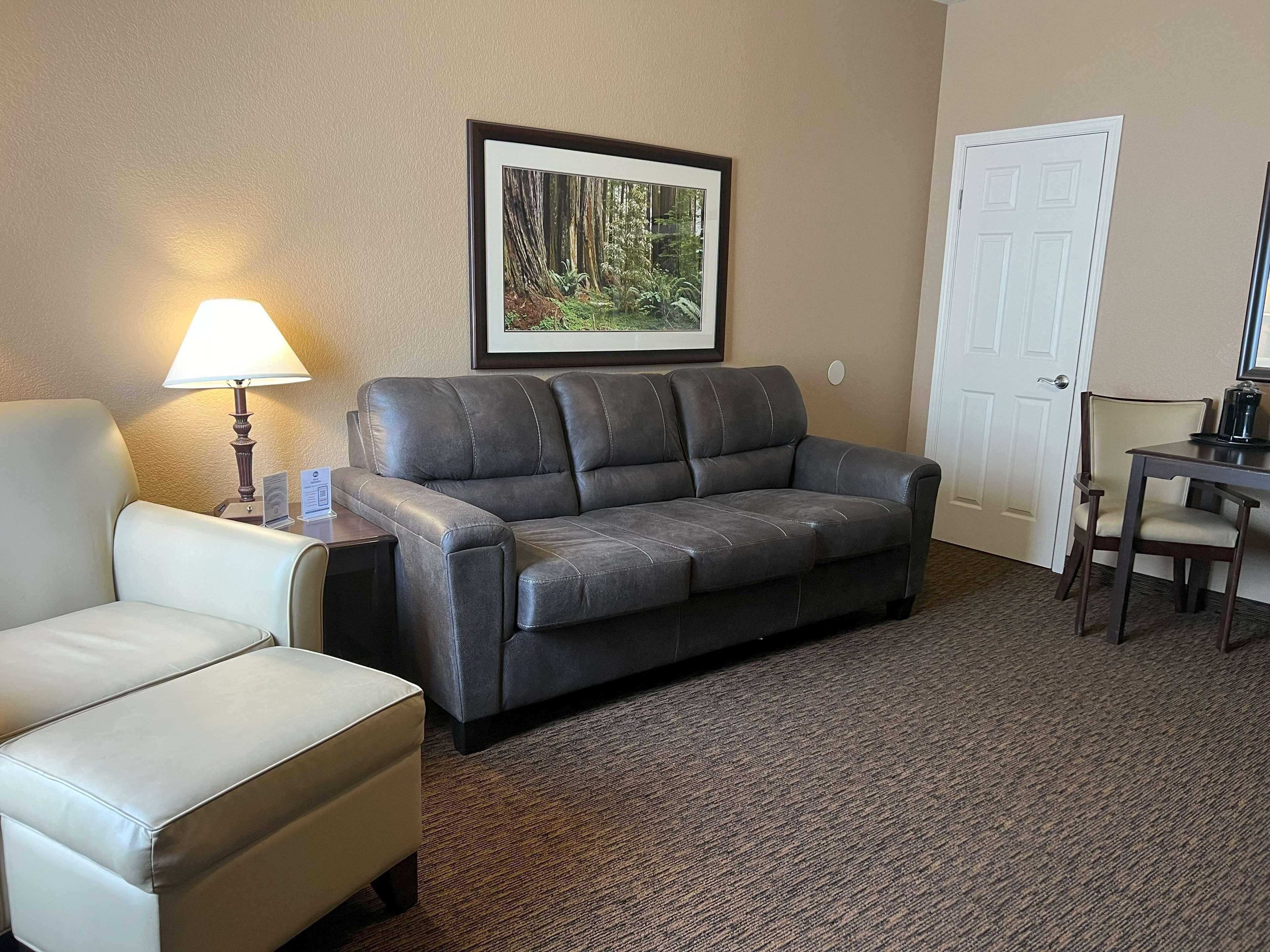 One-Bedroom Queen Suite Sofa Bed