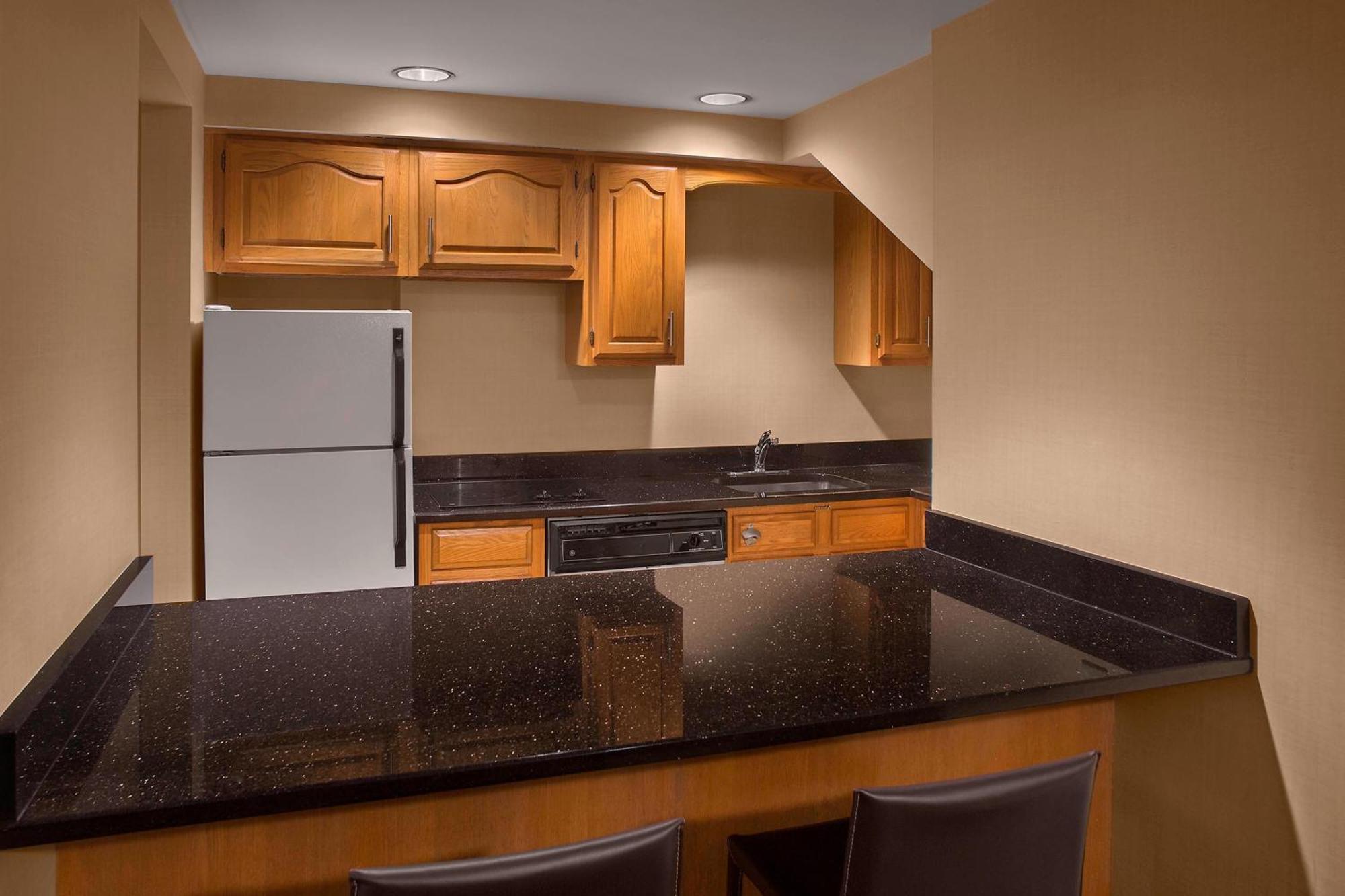 1 Bedroom Penthouse Suite 1 King Sofa bed