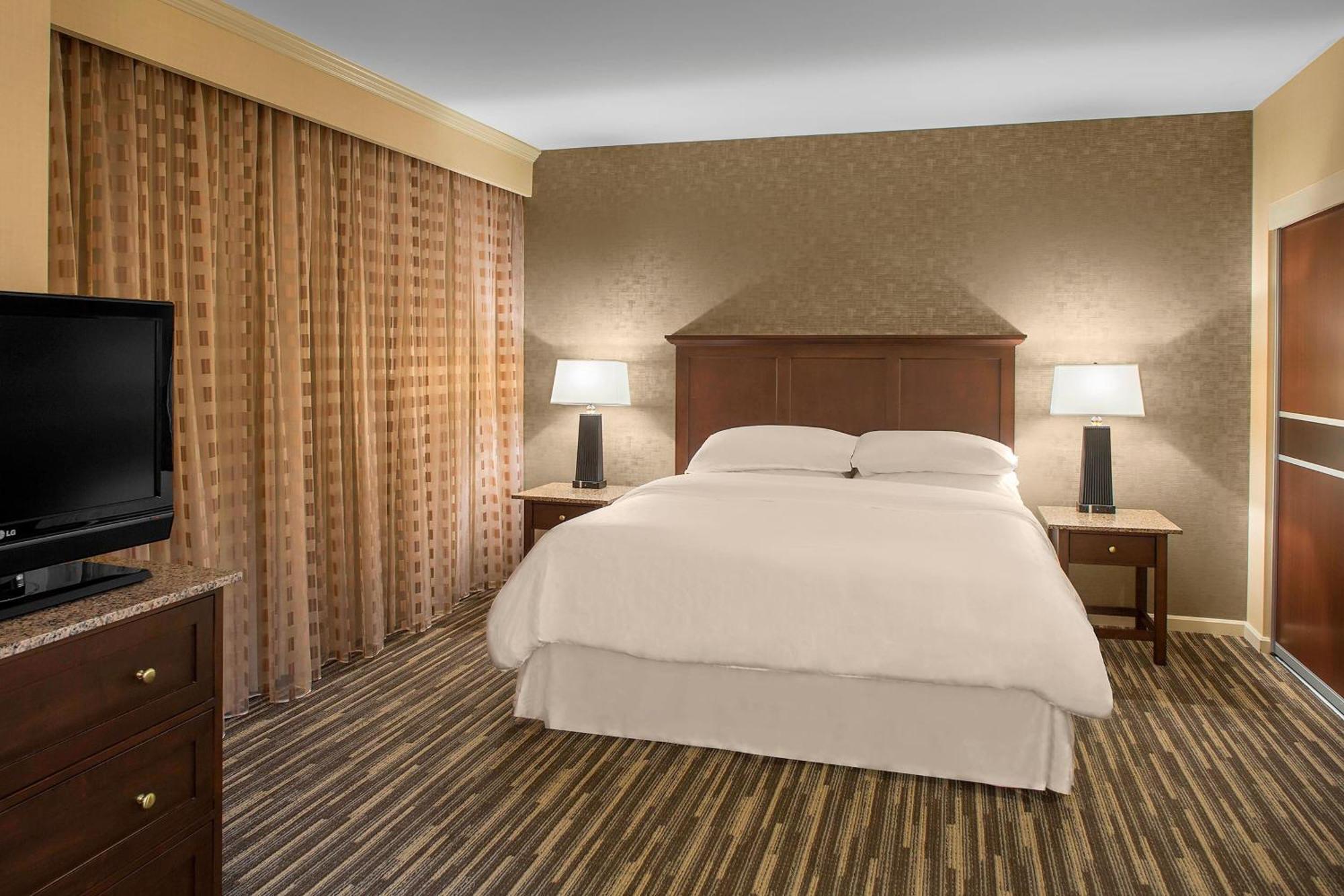 1 Bedroom Suite 1 King Sofa bed