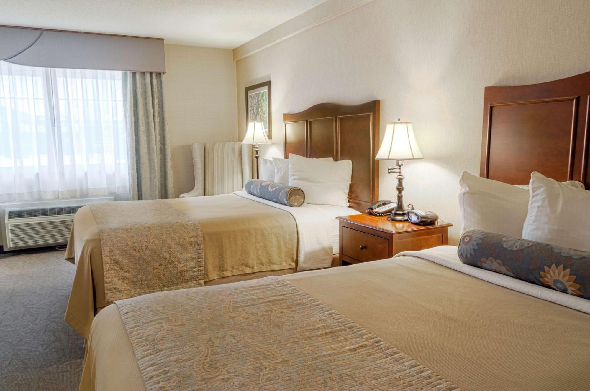 Queen Room Two Queen Beds Roll Shower Disability Access or Pet Friendly or Ground Floor