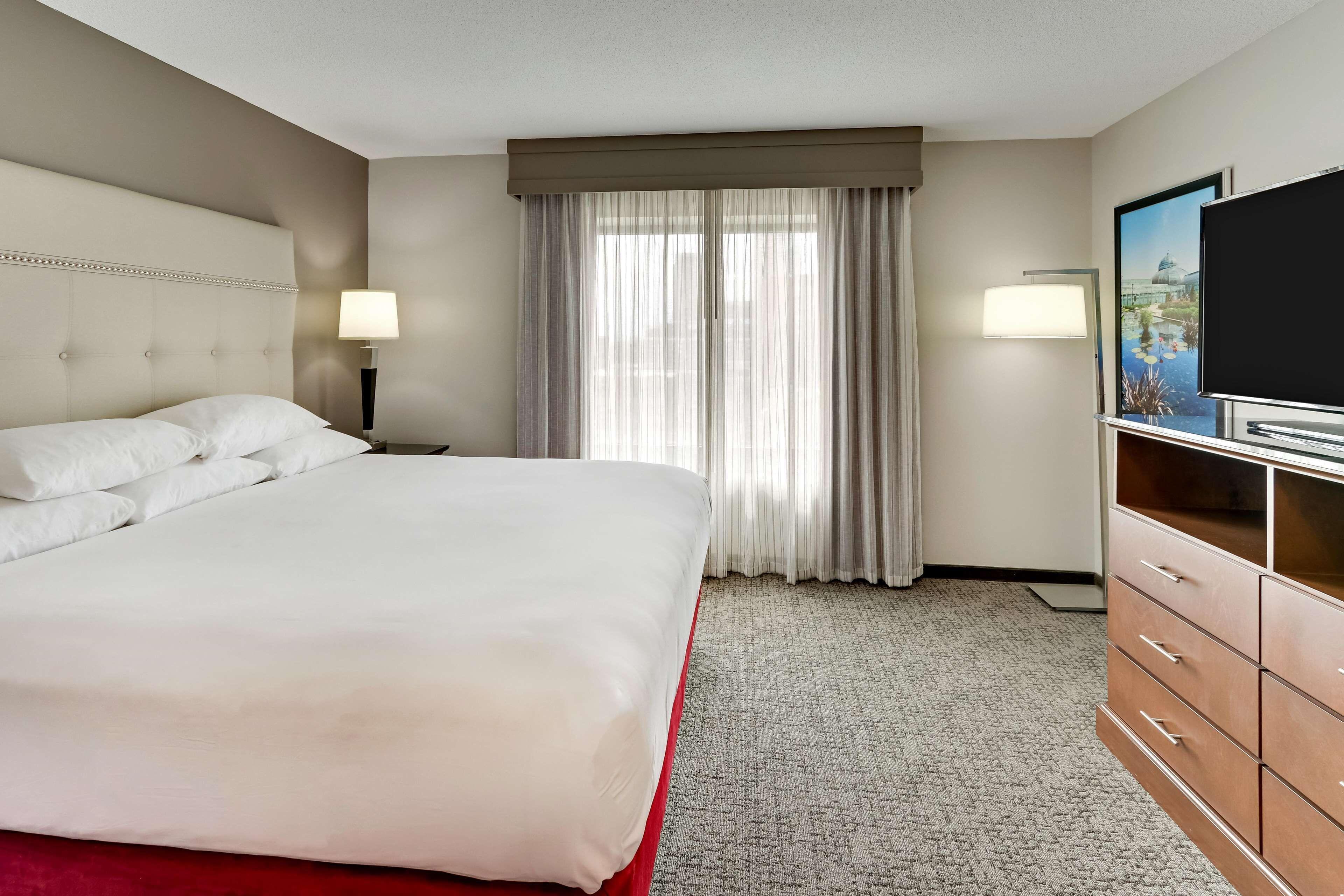 Deluxe King Suite