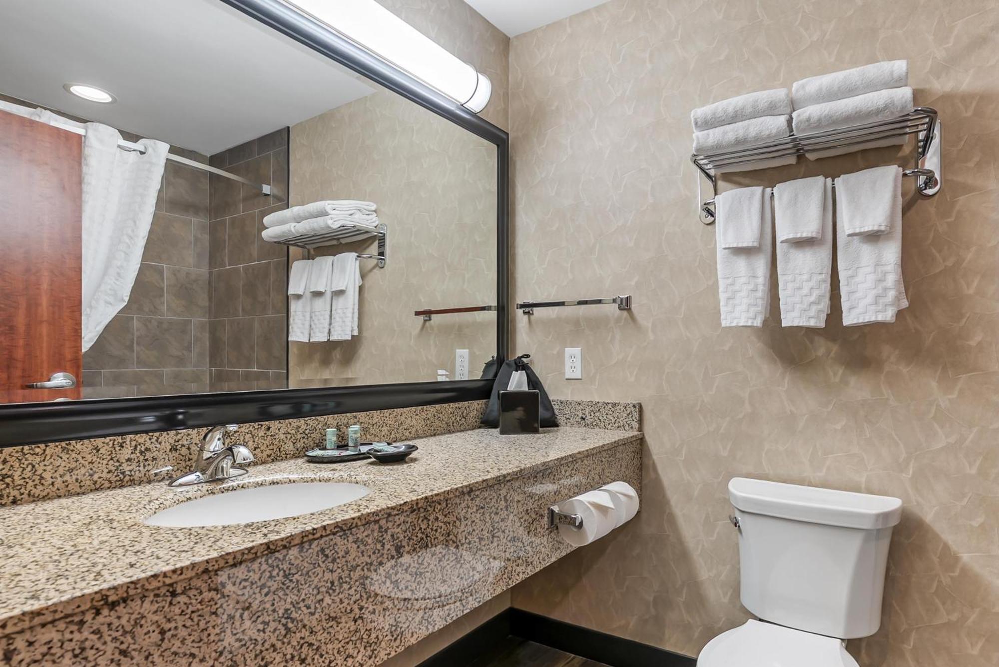 King Room Walk Shower Mobility Accessible or Non-Smoking
