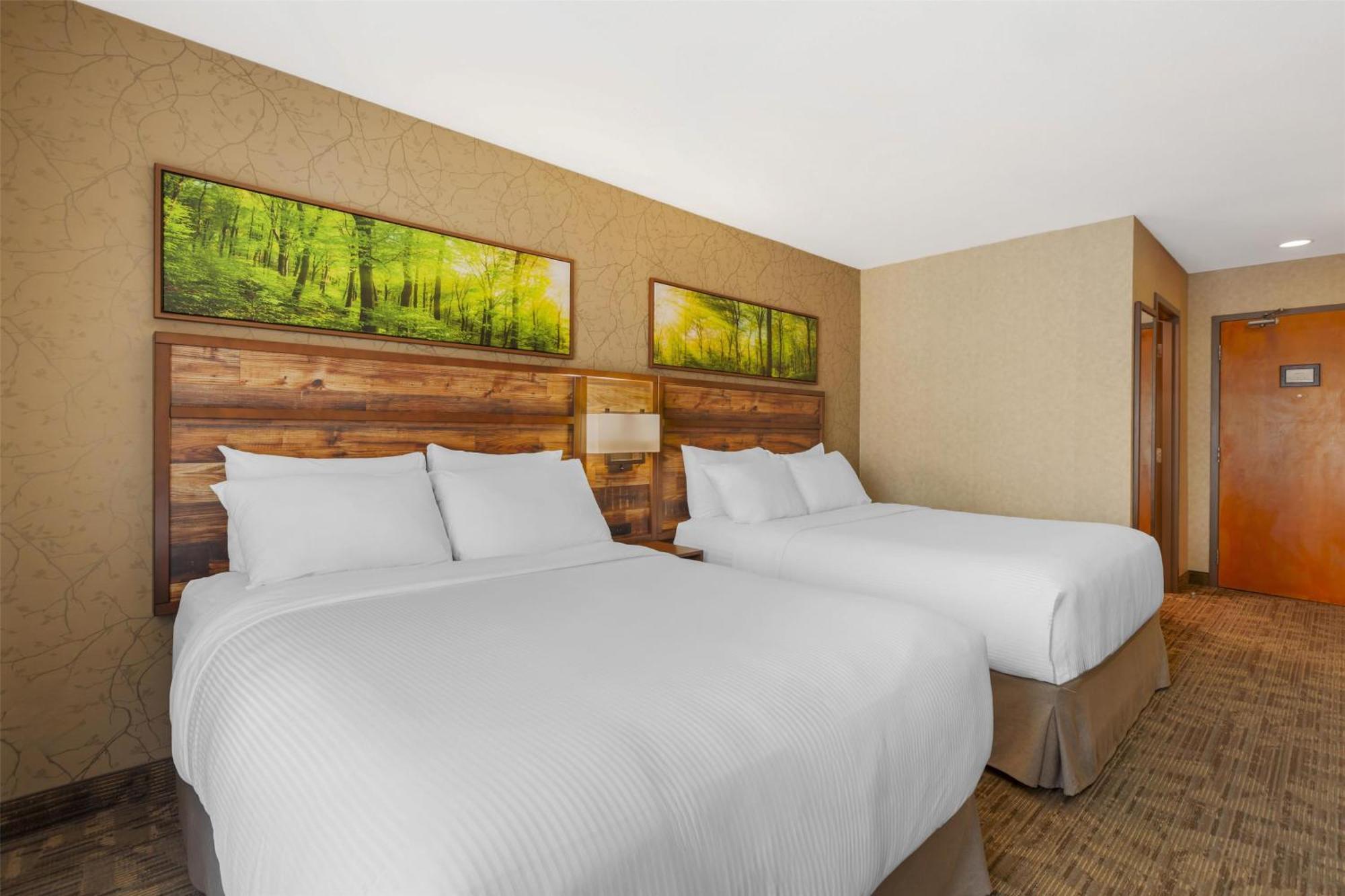 Queen Room Two Queen Beds Pet Friendly or Non-Smoking