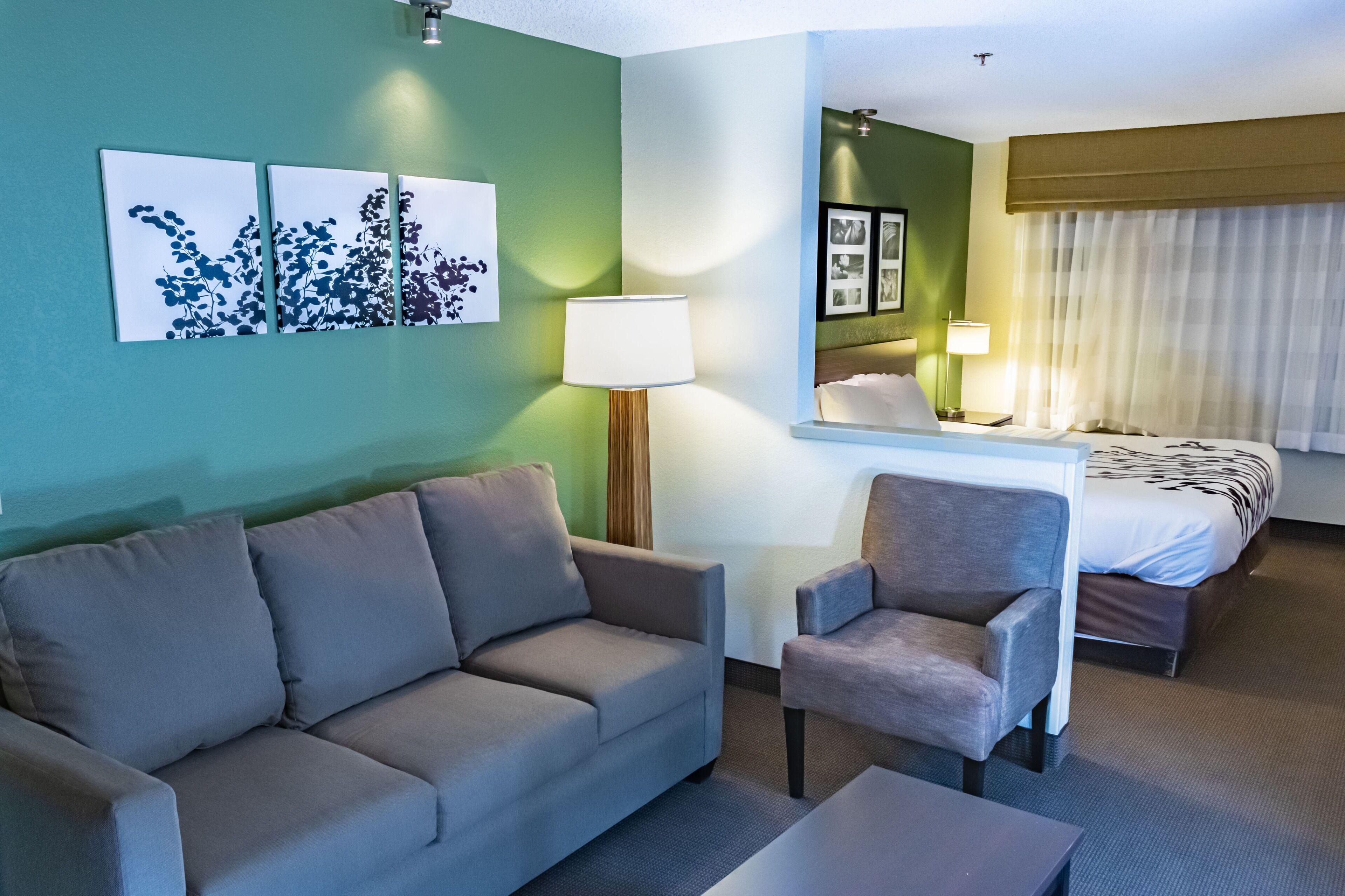 King Suite Sofa Bed Non-Smoking