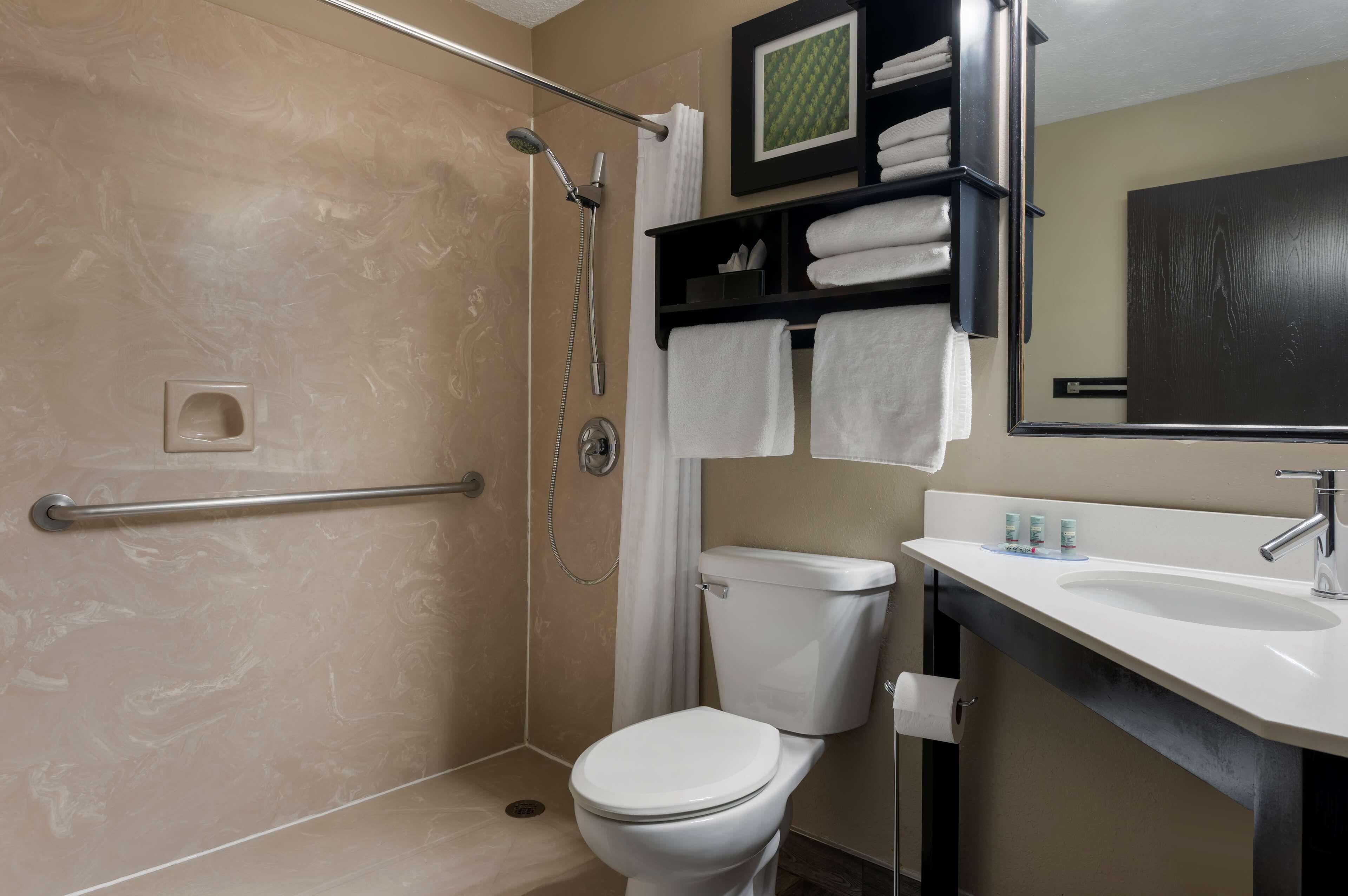 King Room Roll Shower Disability Access