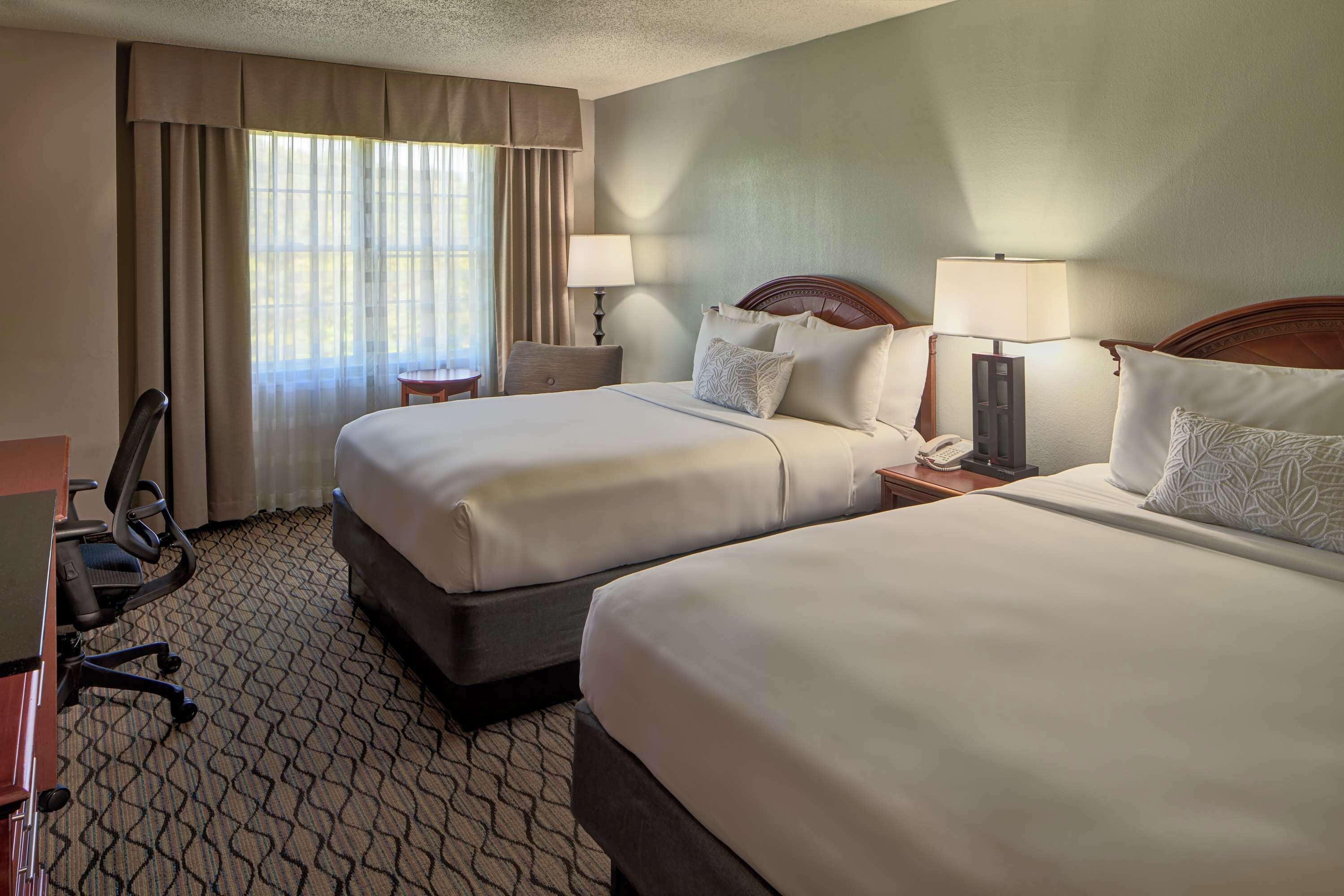 Deluxe Queen Room Two Queen Beds