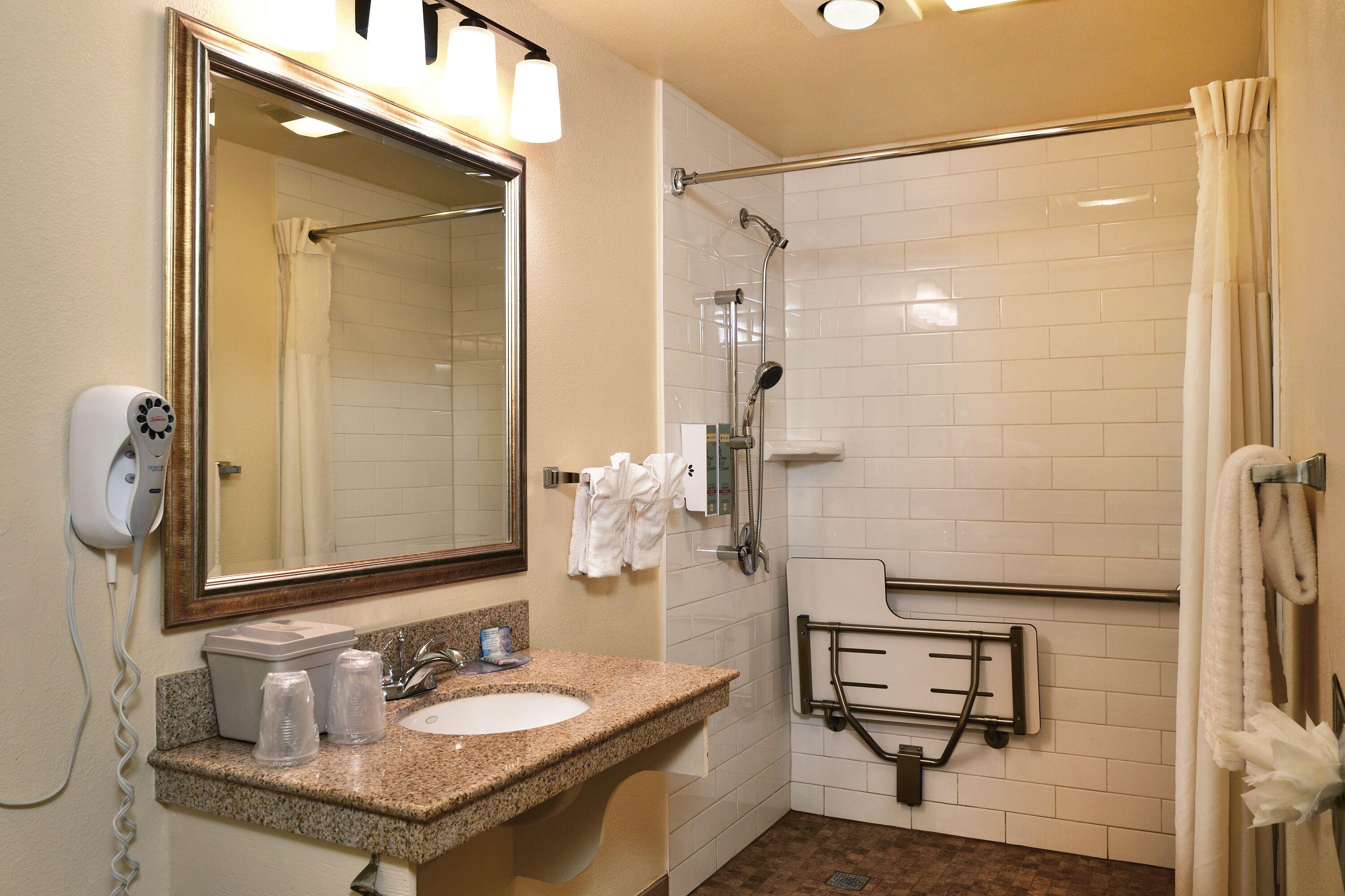 King Room Roll Shower Disability Access
