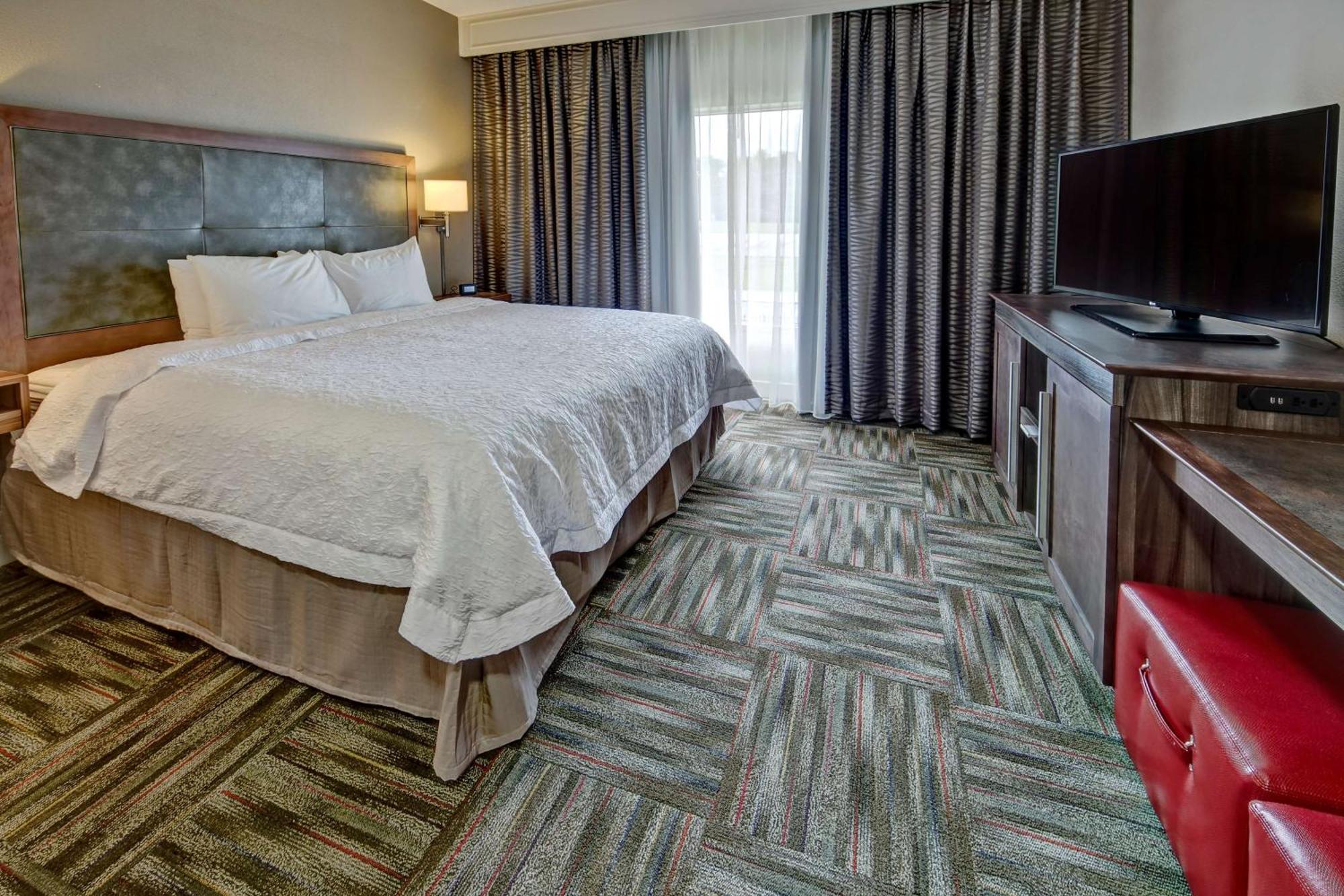 One-Bedroom King Suite Sofa Bed Non-Smoking