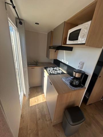 Mobile Home