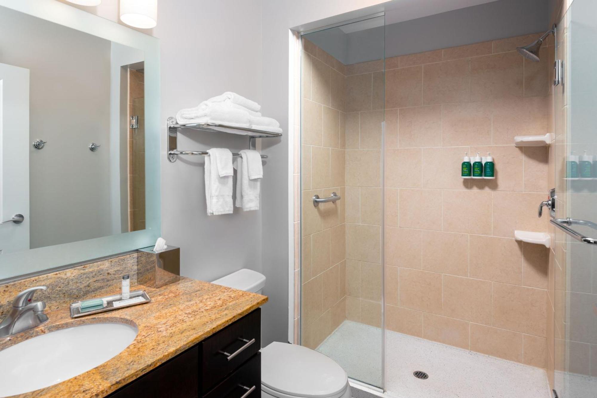 Large King Studio Suite