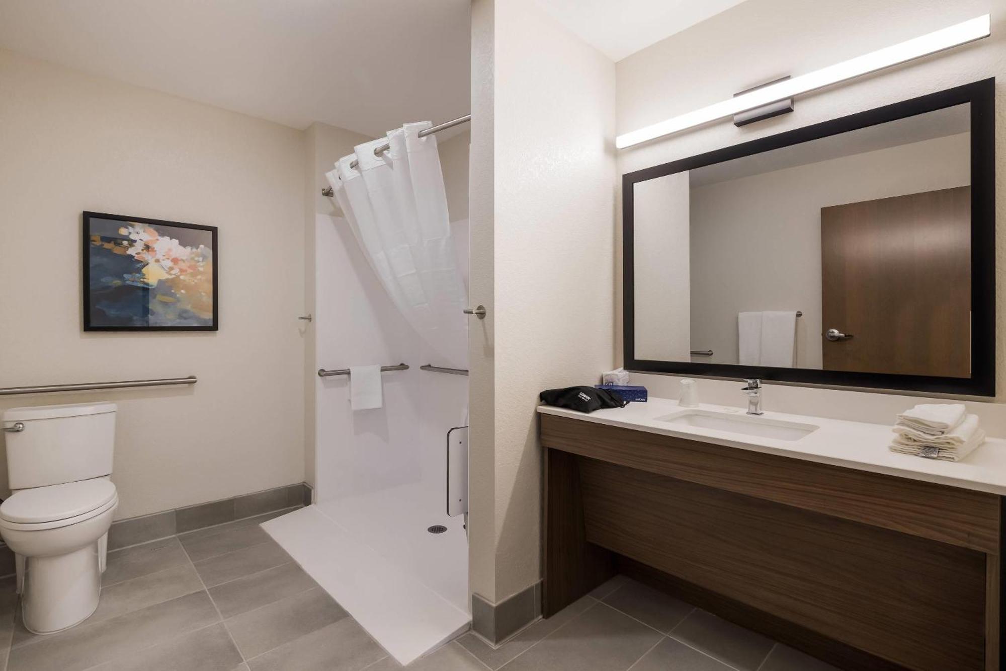 King Room Roll Shower Accessible or Non Smoking