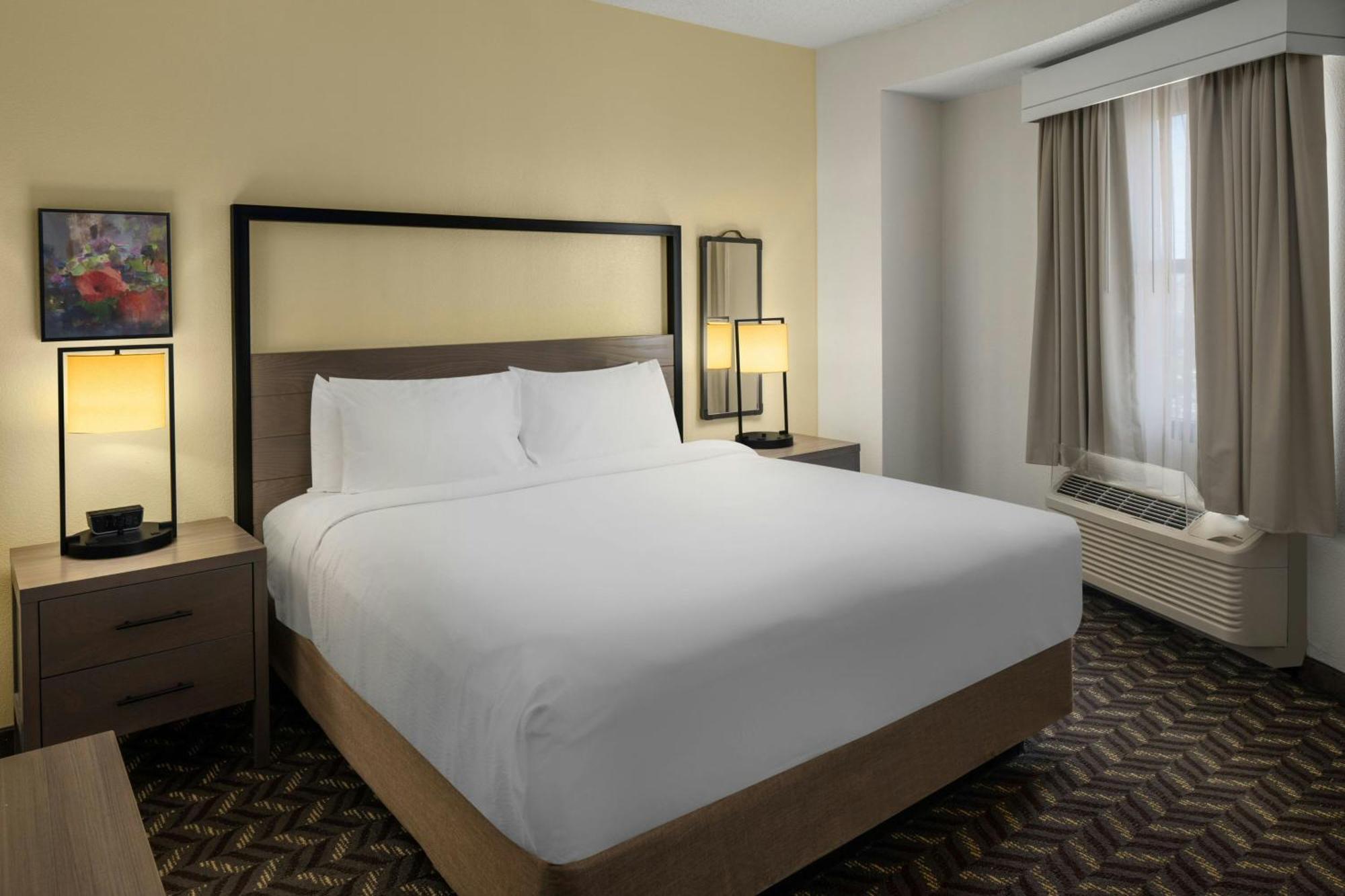 1 Bedroom Suite 1 King Sofa bed