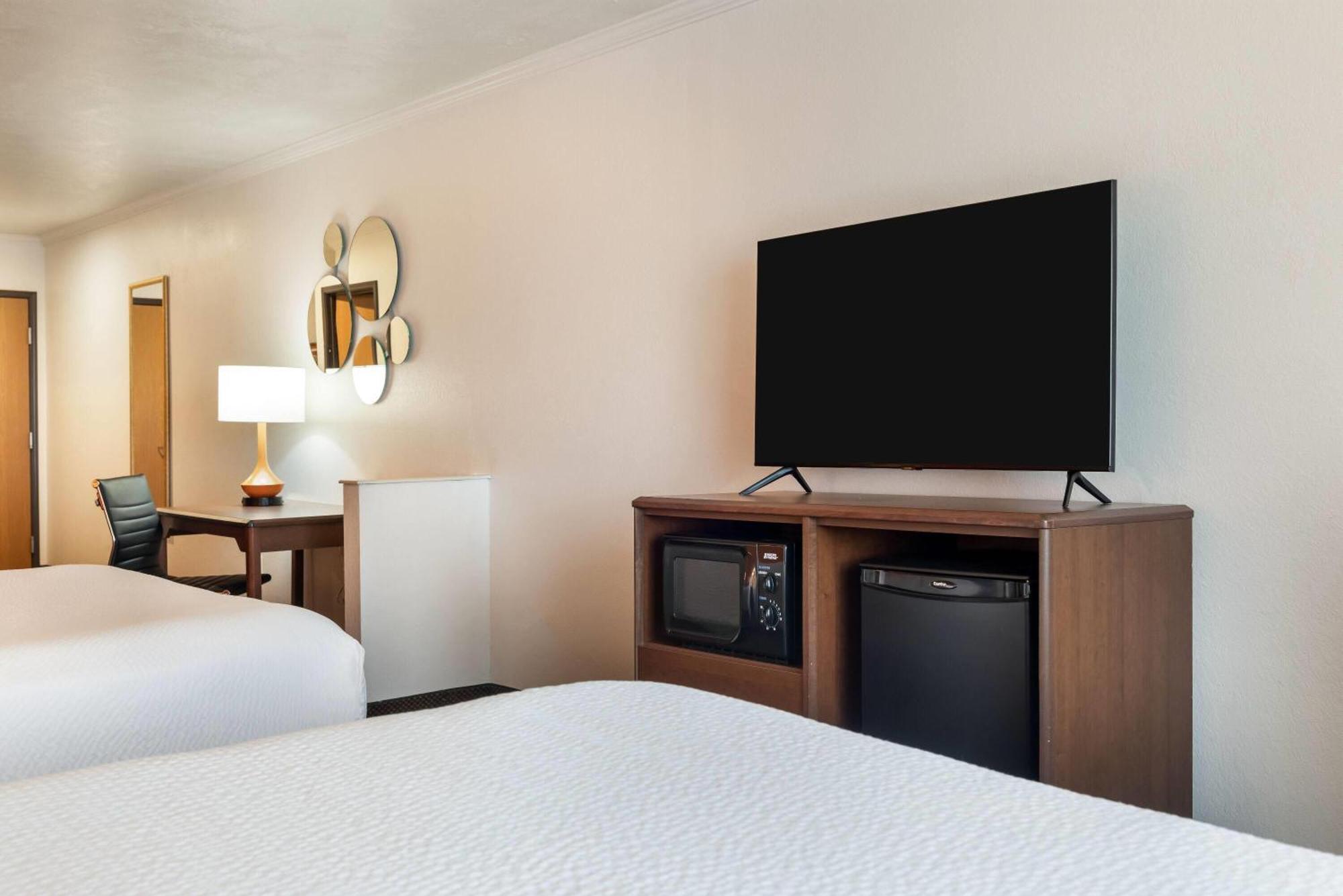 2 Queen Beds, Studio Suite, Non-Smoking