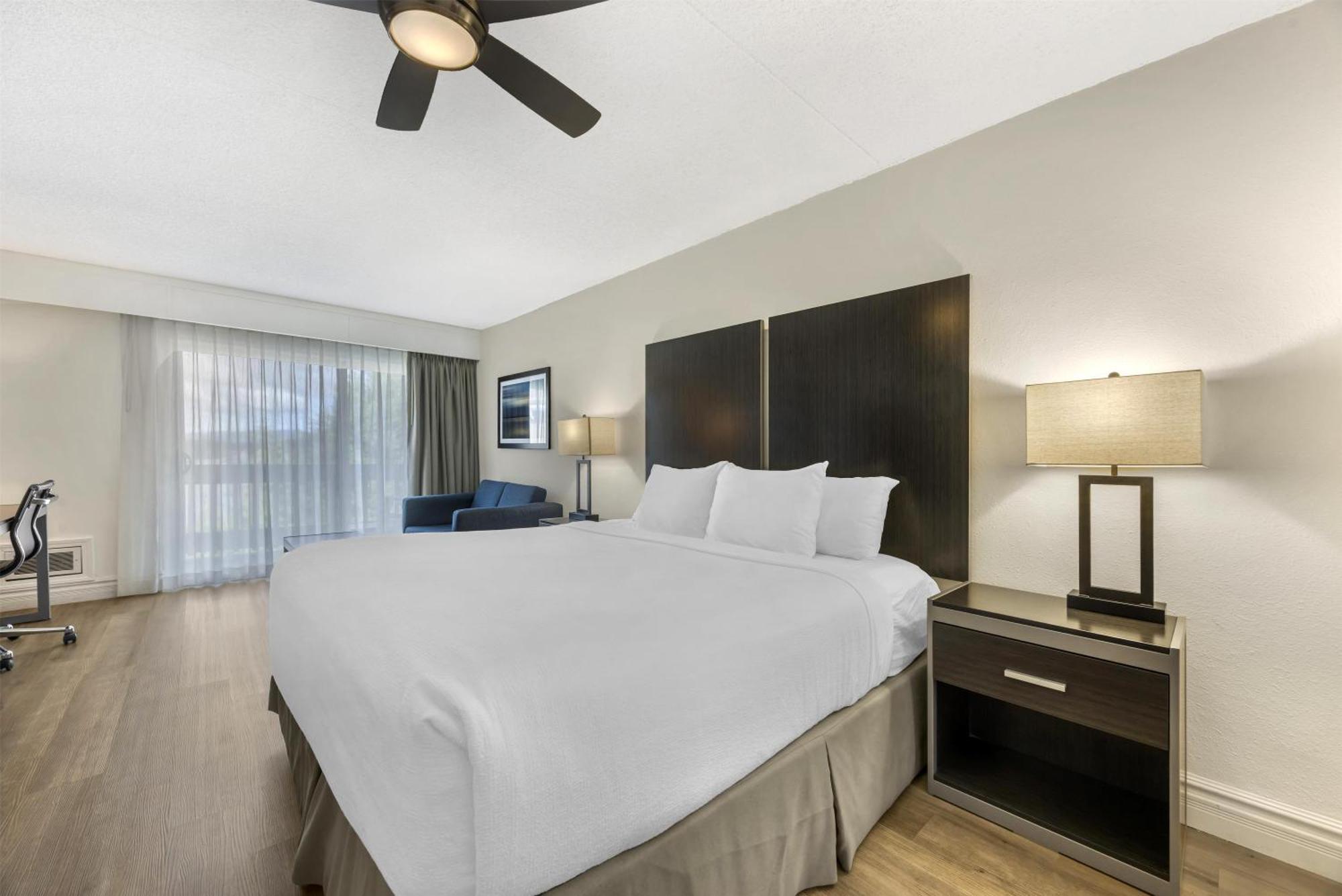 Pet Friendly 1 King Bed Balcony